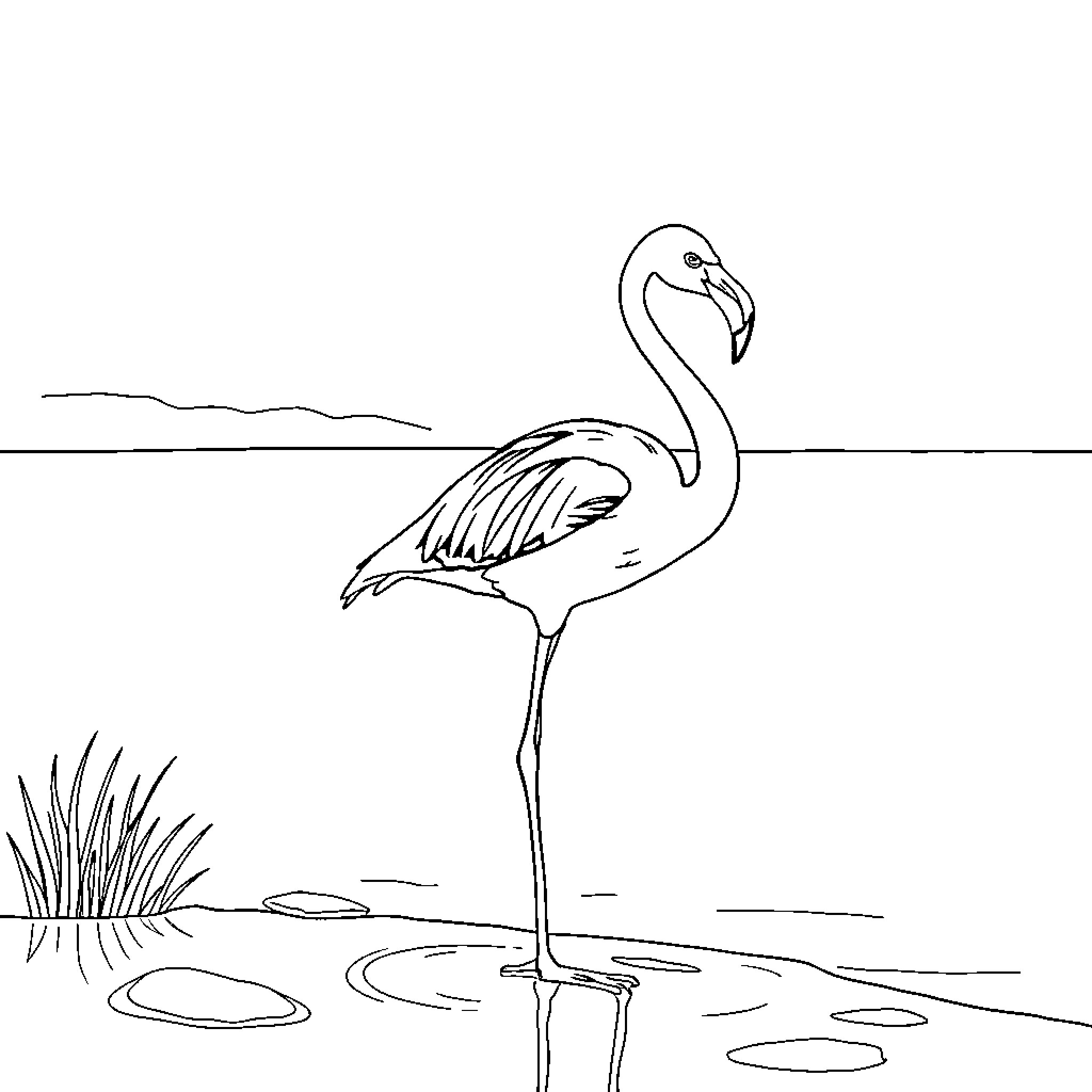Flamingo standing gracefully in a tranquil scene Coloring Page (free black-and-white line drawing printable PDF for all, from beginners to advanced learners, including children, teens, adults, and seniors)