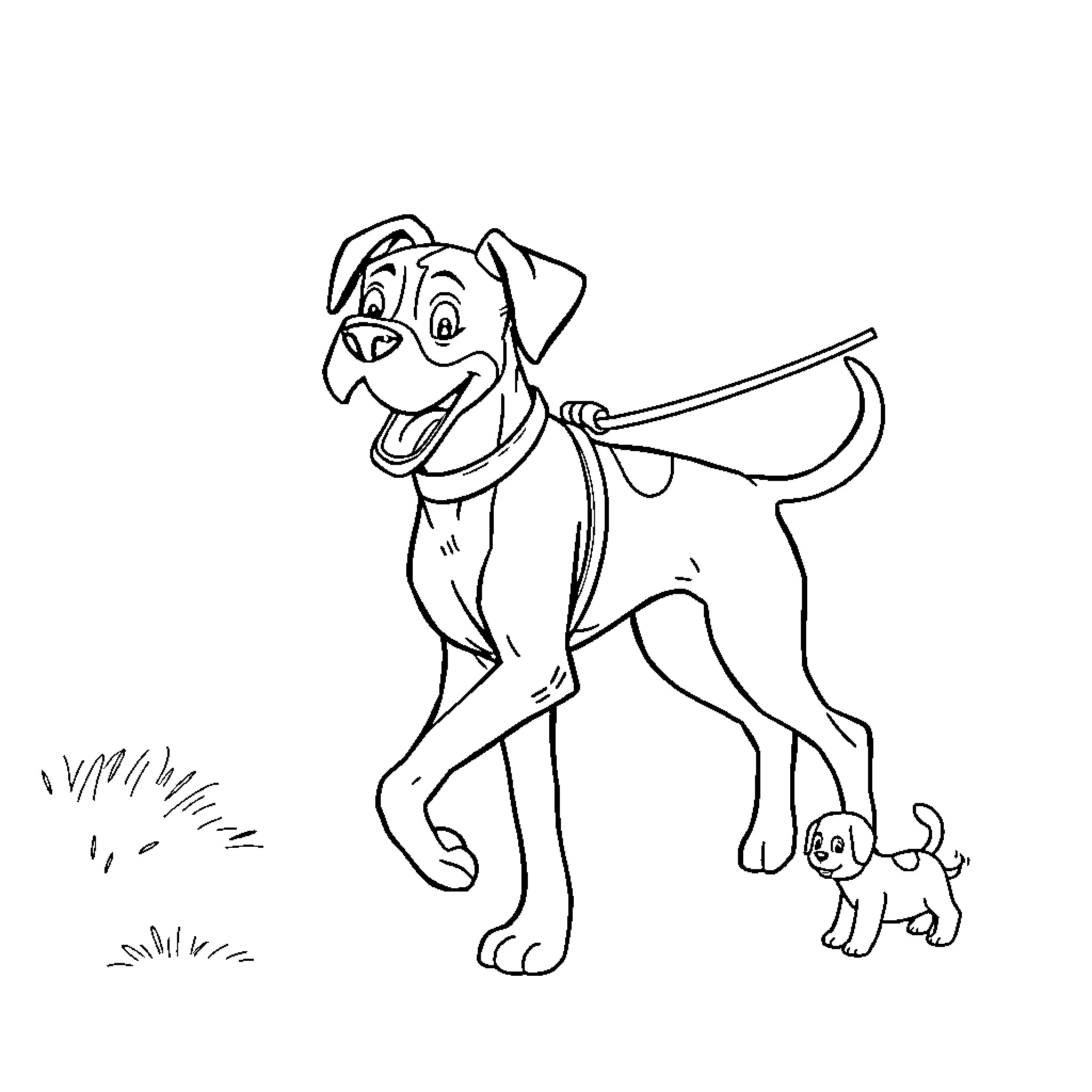 Boxer dog playing with puppy on grass Coloring Page (free black-and-white line drawing printable PDF for all, from beginners to advanced learners, including children, teens, adults, and seniors)