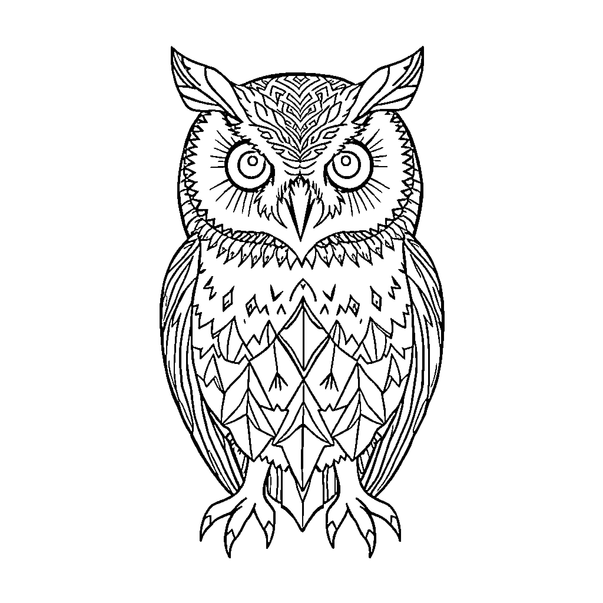 Barn Owl with intricate patterned feathers Coloring Page (free black-and-white line drawing printable PDF for all, from beginners to advanced learners, including children, teens, adults, and seniors)