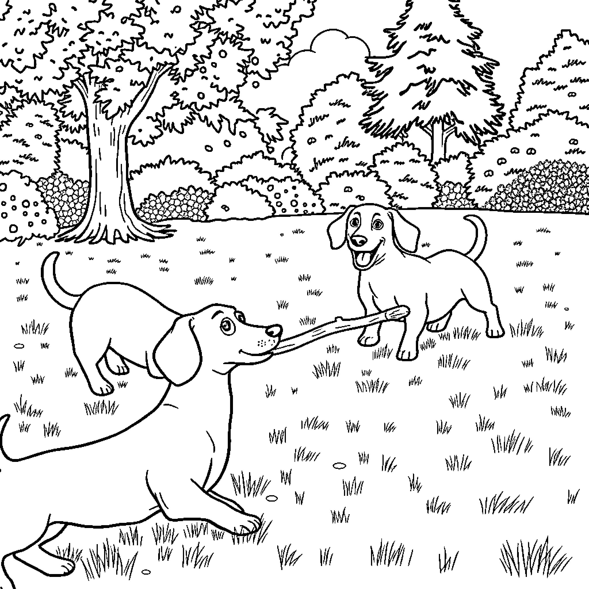 Sausage Dogs Playing in the Forest Coloring Page (free black-and-white line drawing printable PDF for all, from beginners to advanced learners, including children, teens, adults, and seniors)
