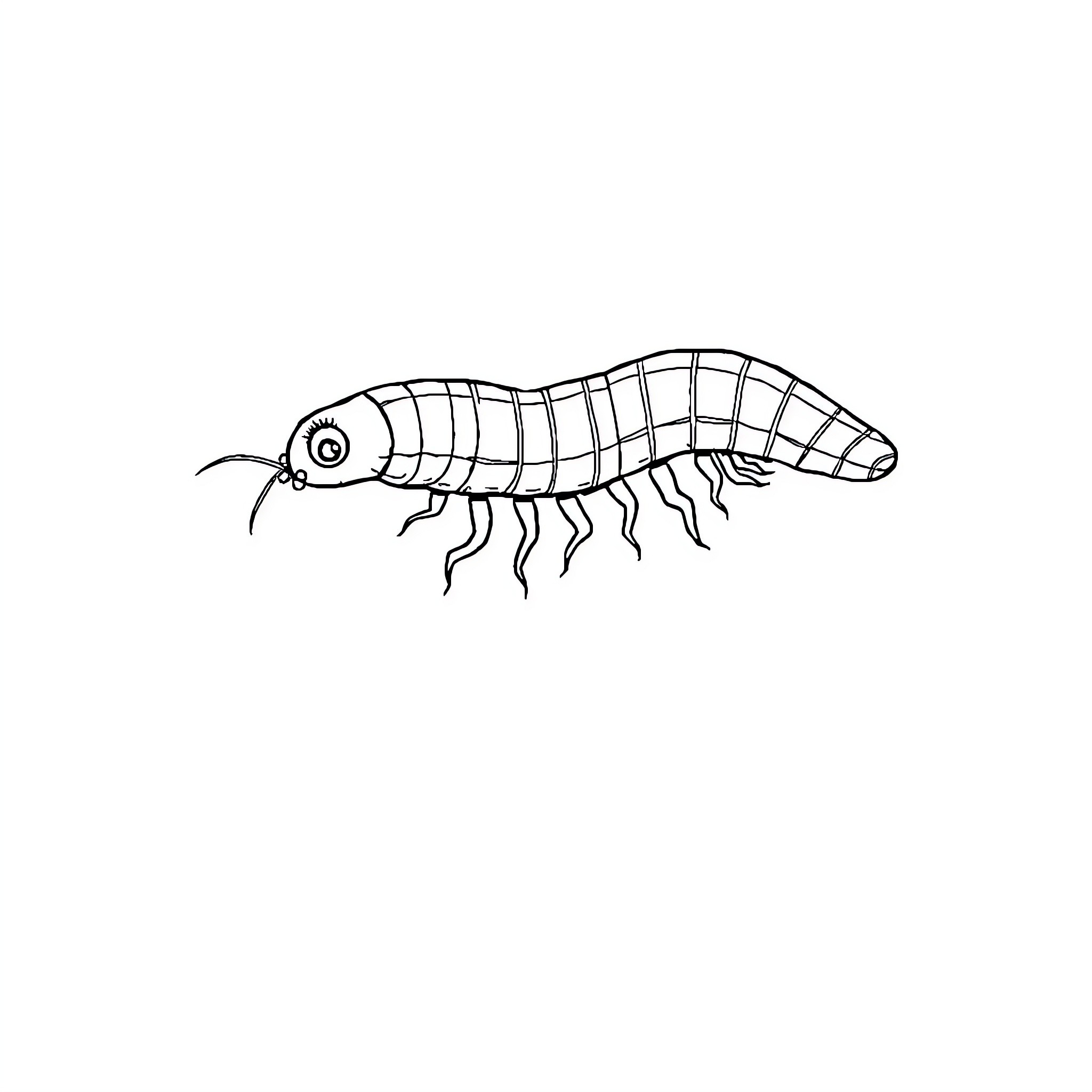 C. Elegans crawling across the frame Coloring Page (free black-and-white line drawing printable PDF for all, from beginners to advanced learners, including children, teens, adults, and seniors)