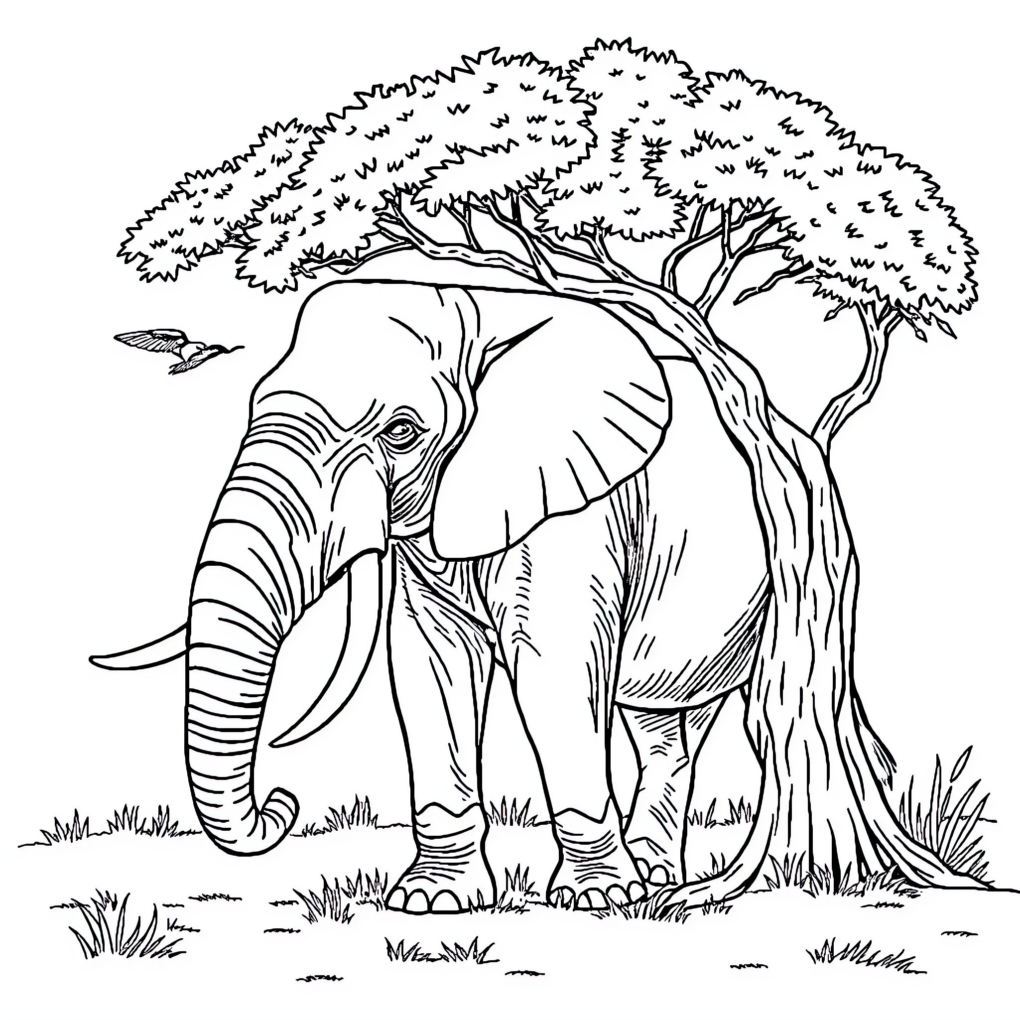Elephant standing under a large tree Coloring Page (free black-and-white line drawing printable PDF for all, from beginners to advanced learners, including children, teens, adults, and seniors)