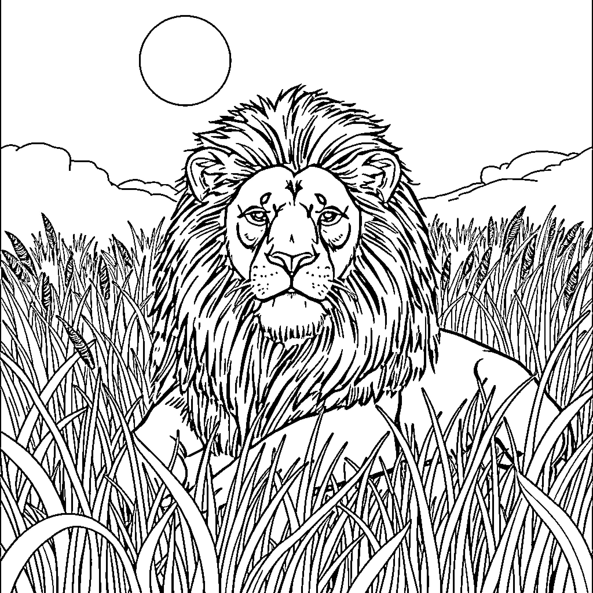 Lion resting in tall grass under a bright moon Coloring Page (free black-and-white line drawing printable PDF for all, from beginners to advanced learners, including children, teens, adults, and seniors)