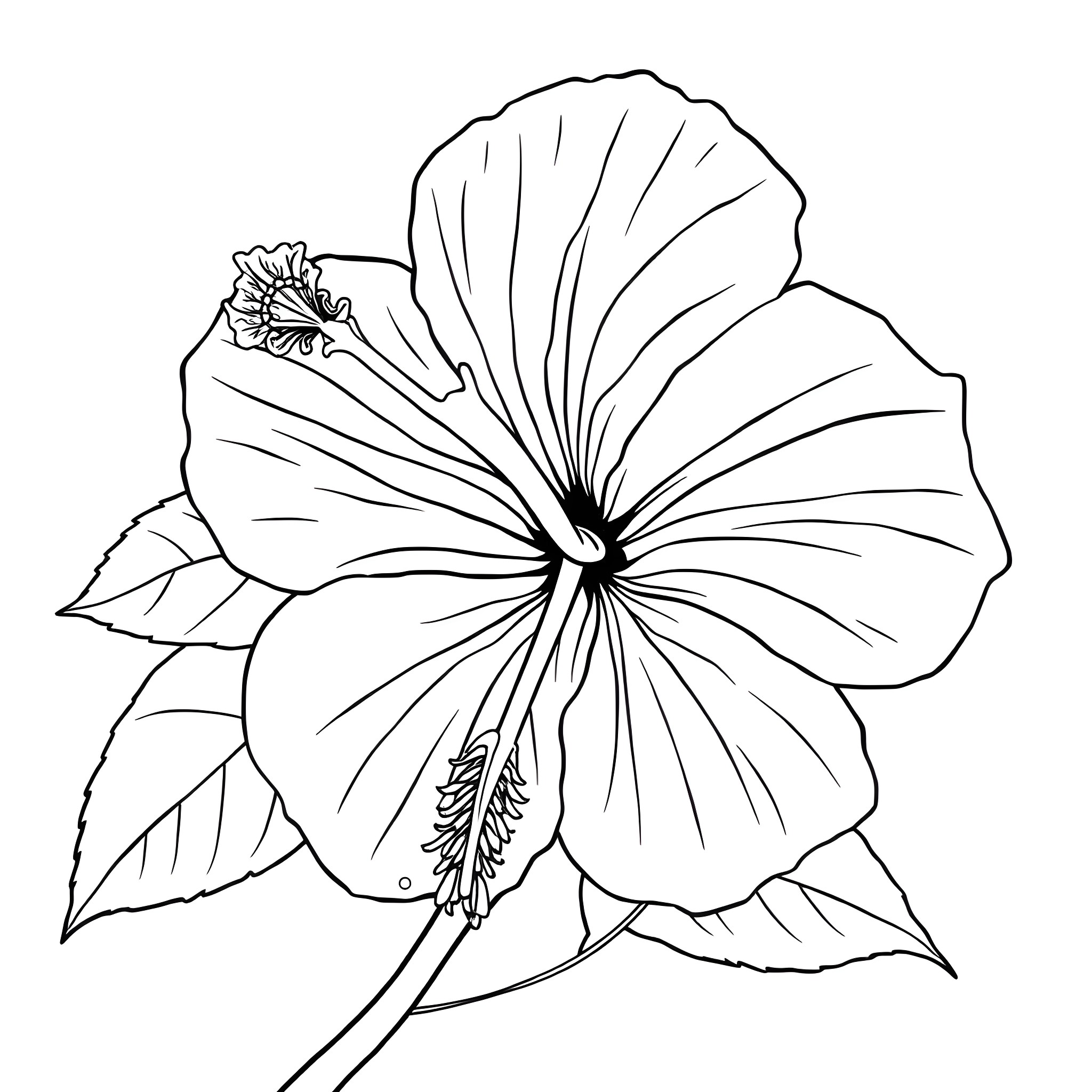Hibiscus flower with detailed petals Coloring Page (free black-and-white line drawing printable PDF for all, from beginners to advanced learners, including children, teens, adults, and seniors)