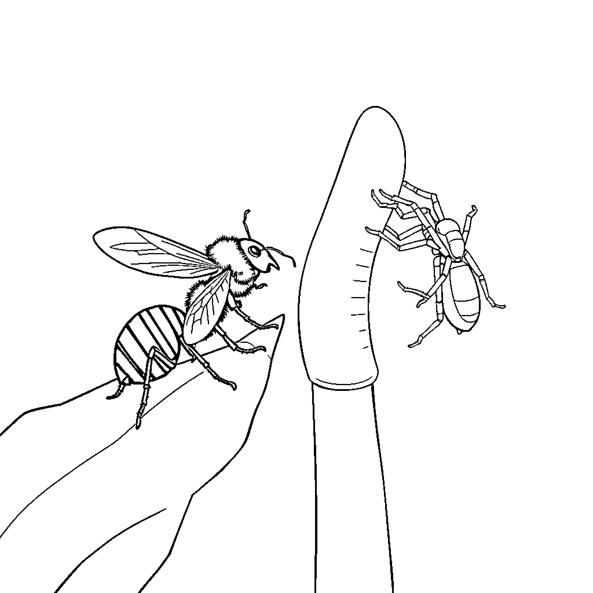 Ant Climbing Up a Pencil Coloring Page (free black-and-white line drawing printable PDF for all, from beginners to advanced learners, including children, teens, adults, and seniors)