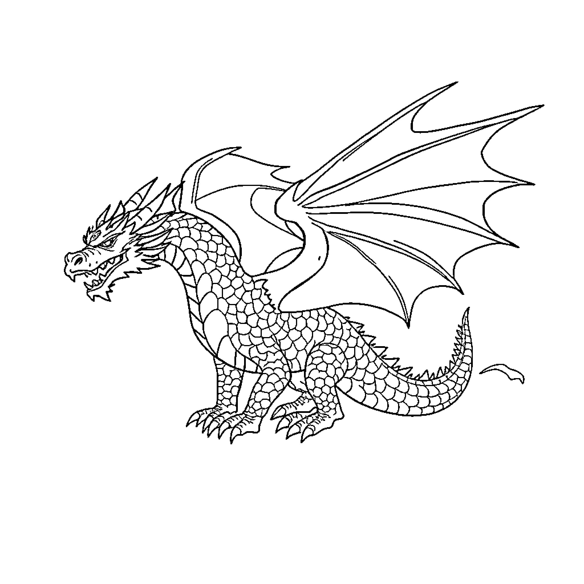 Dragon with Majestic Wings and Fierce Expression Coloring Page (free black-and-white line drawing printable PDF for all, from beginners to advanced learners, including children, teens, adults, and seniors)