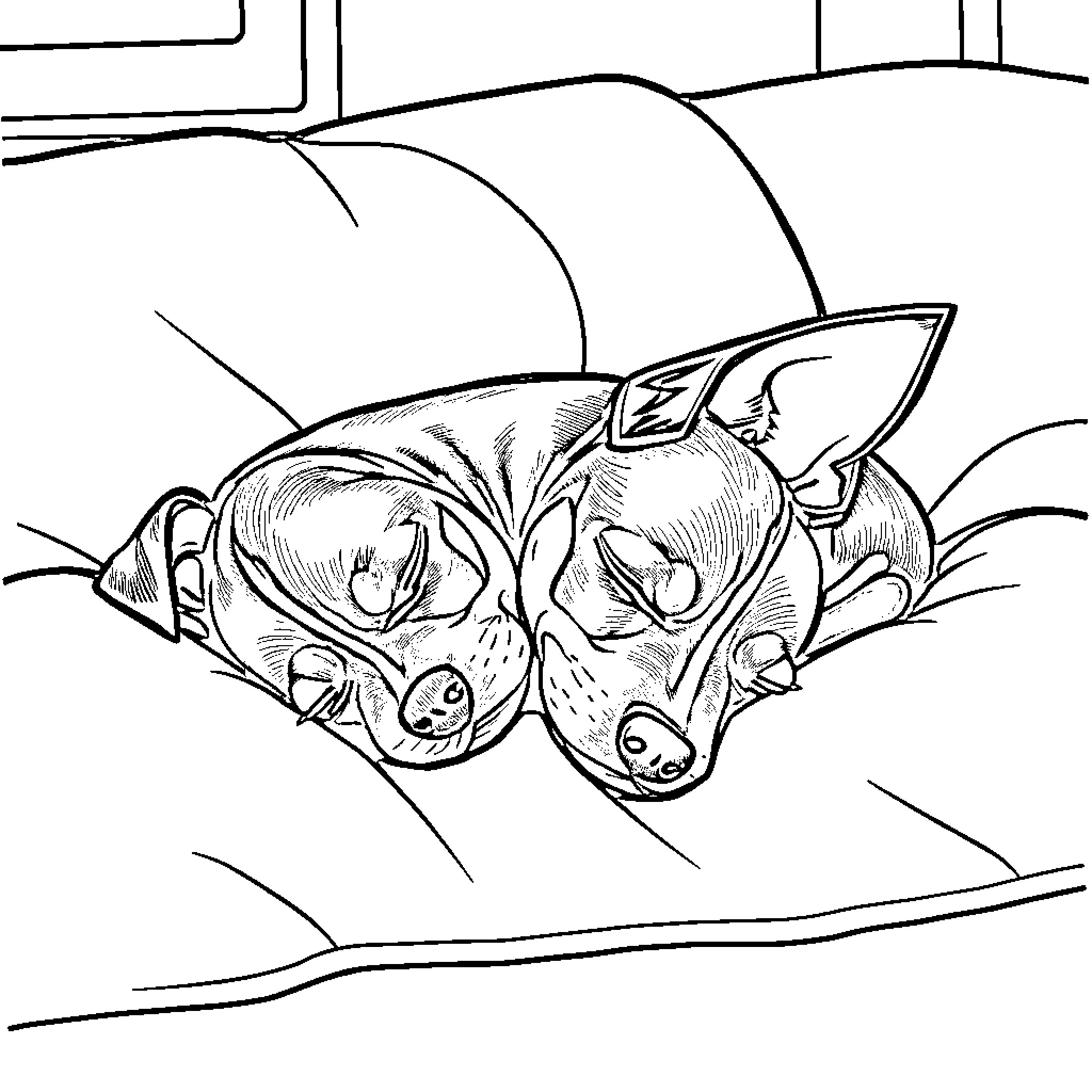 Miniature Pinscher Sleeping in Cozy Bed Coloring Page (free black-and-white line drawing printable PDF for all, from beginners to advanced learners, including children, teens, adults, and seniors)