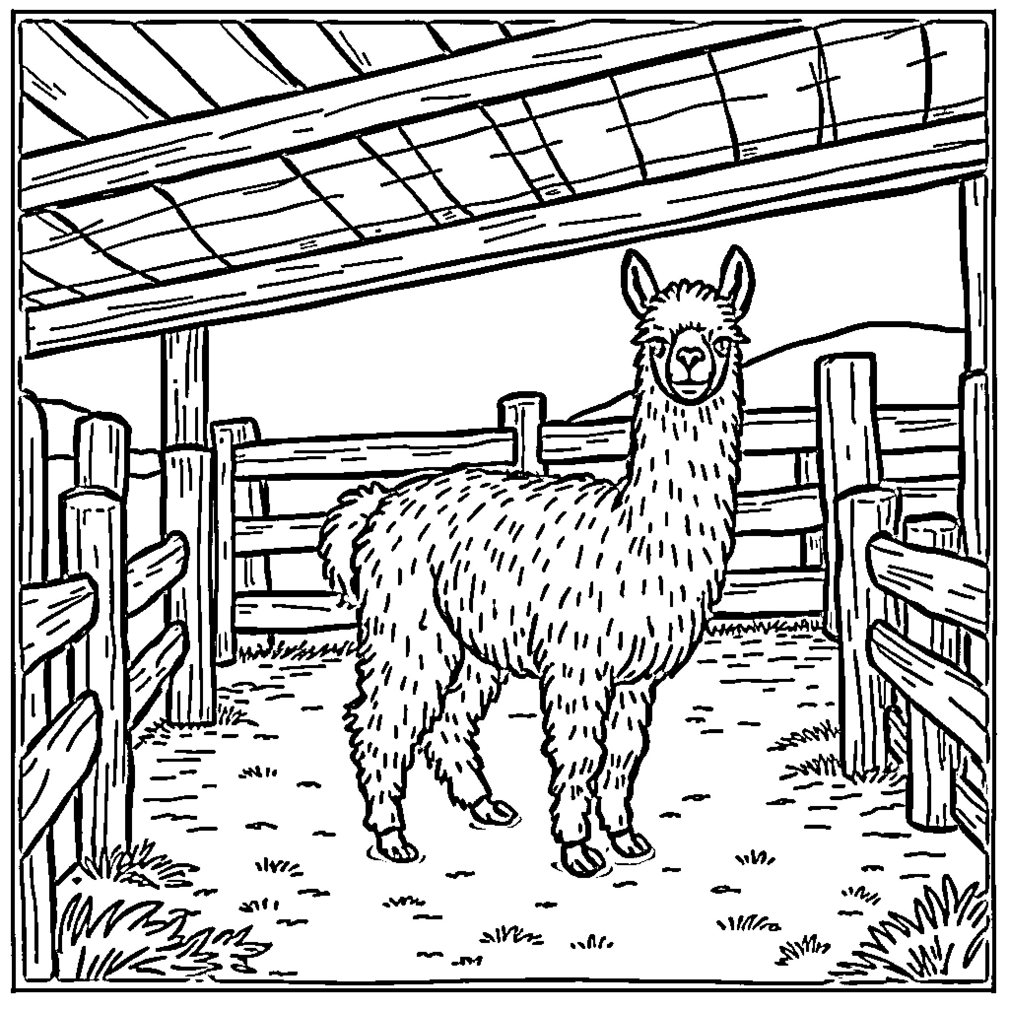 Alpaca standing in a farm enclosure Coloring Page (free black-and-white line drawing printable PDF for all, from beginners to advanced learners, including children, teens, adults, and seniors)