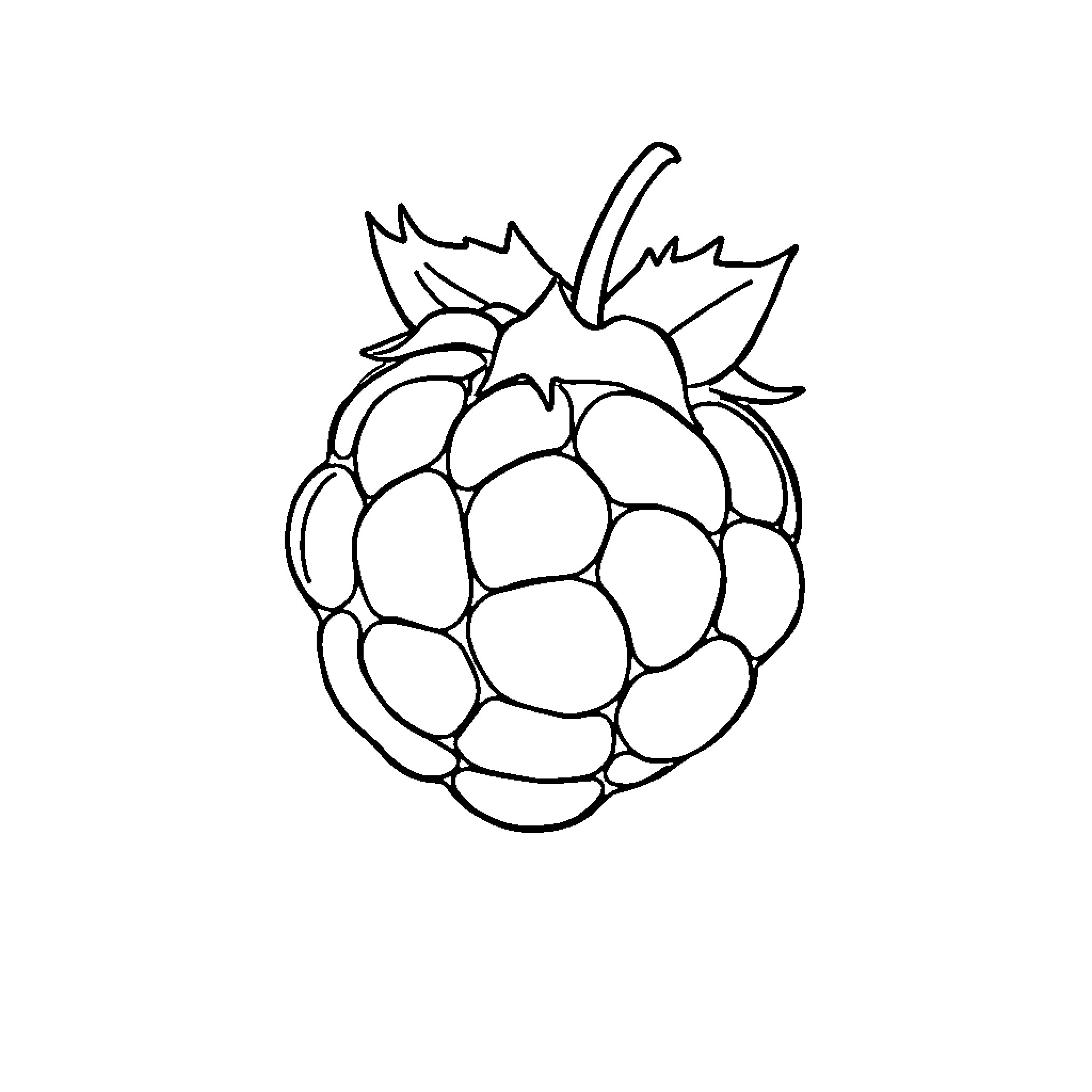 Raspberry in Playful Sketch Coloring Page (free black-and-white line drawing printable PDF for all, from beginners to advanced learners, including children, teens, adults, and seniors)