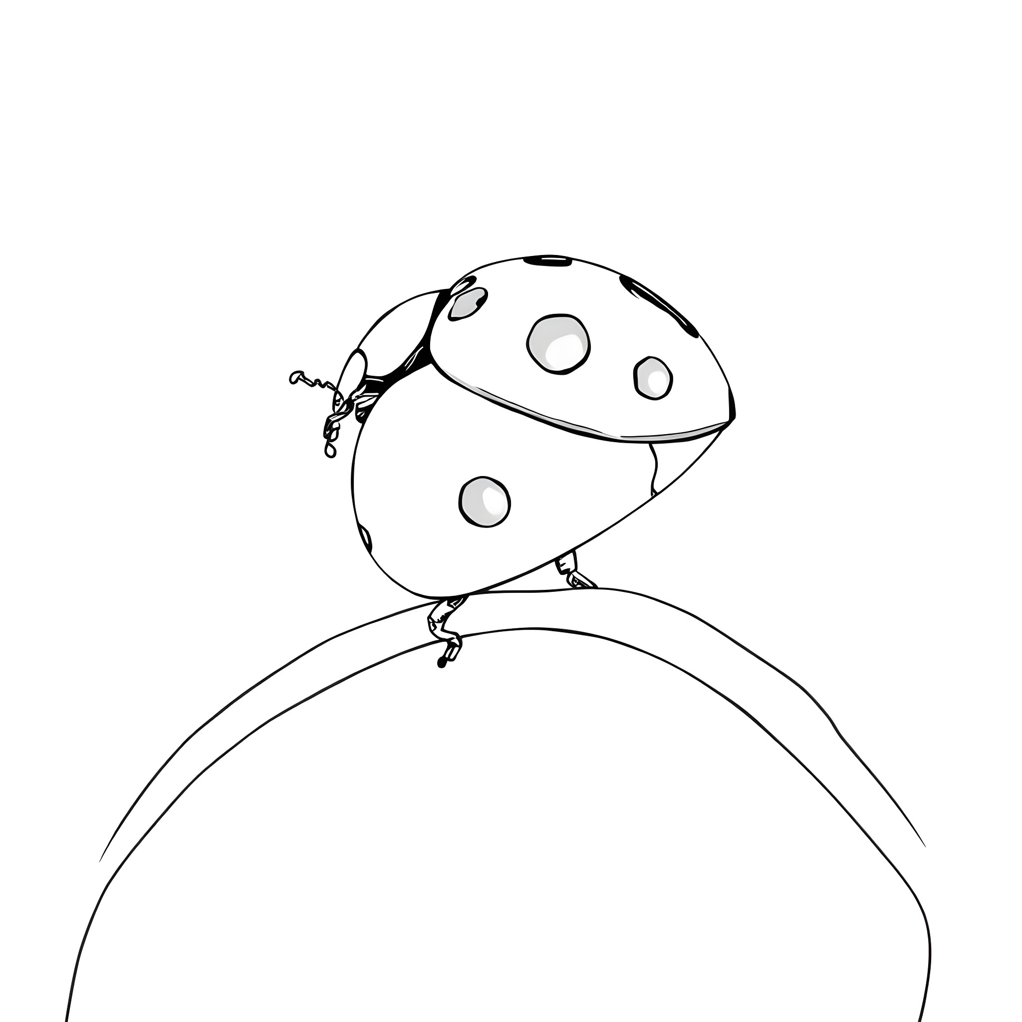 Ladybug resting on a curved surface Coloring Page (free black-and-white line drawing printable PDF for all, from beginners to advanced learners, including children, teens, adults, and seniors)