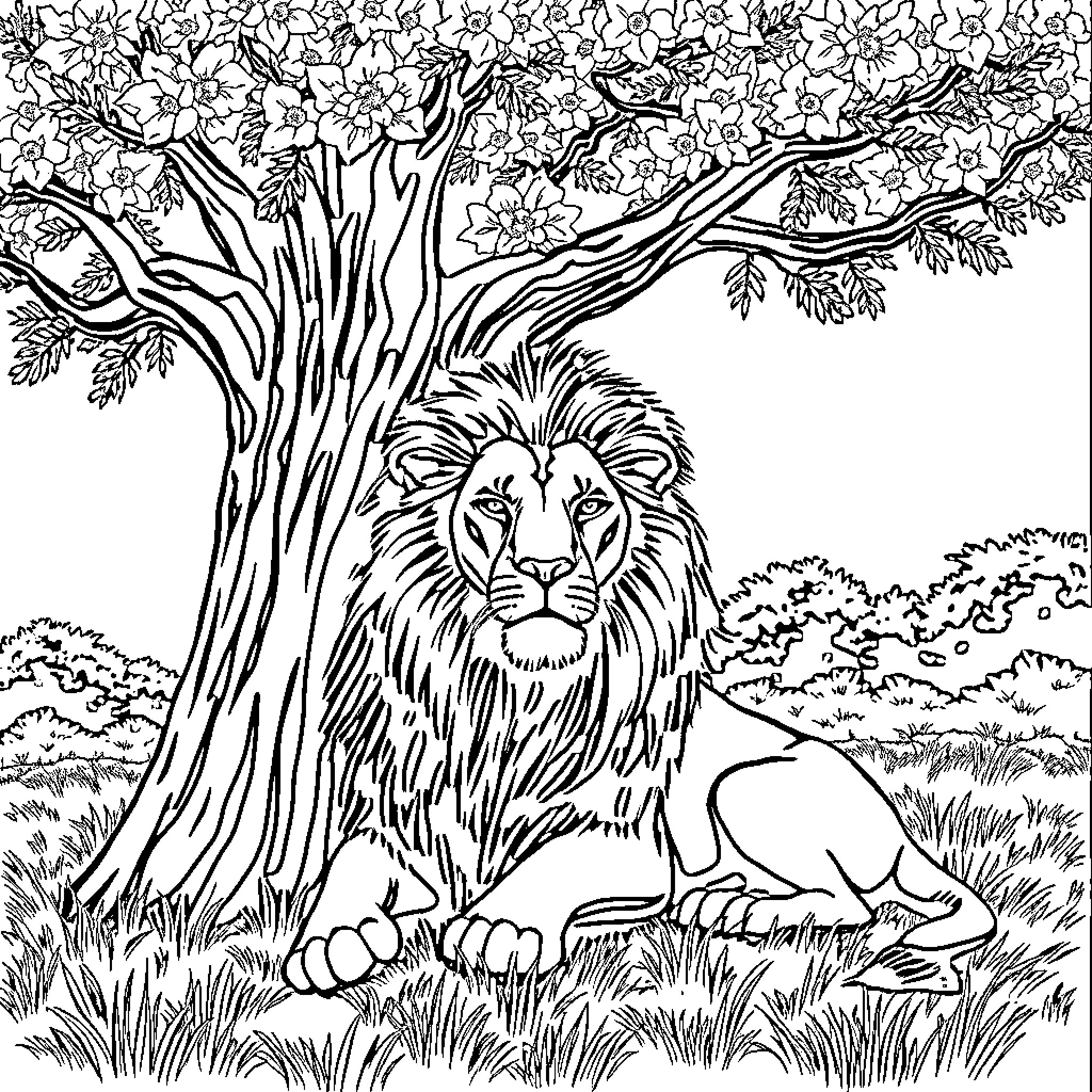 Lion resting under the shade of a tree Coloring Page (free black-and-white line drawing printable PDF for all, from beginners to advanced learners, including children, teens, adults, and seniors)