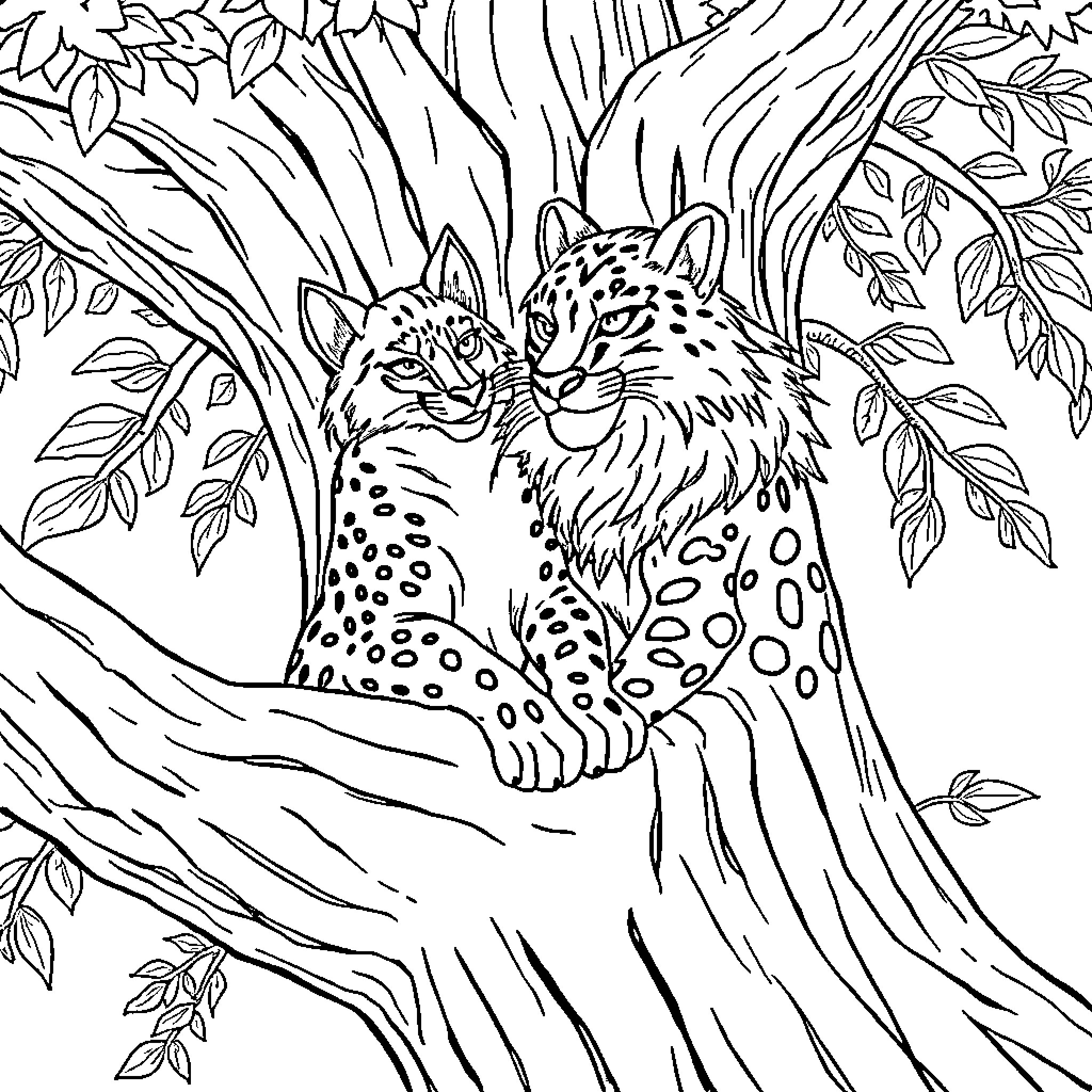 Zorro the Leopard in Jungle Landscape Coloring Page (free black-and-white line drawing printable PDF for all, from beginners to advanced learners, including children, teens, adults, and seniors)