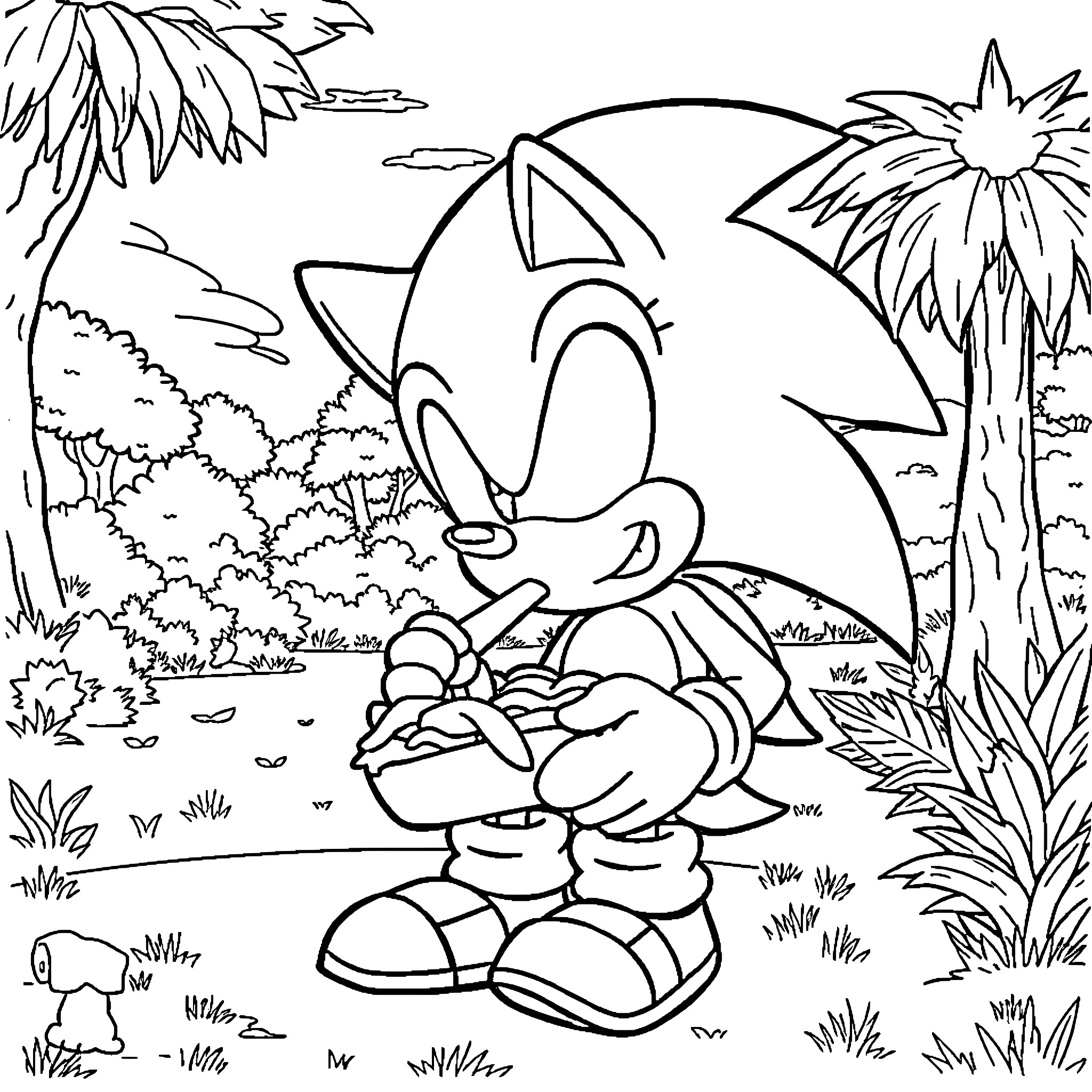 Sonic in a tropical paradise Coloring Page (free black-and-white line drawing printable PDF for all, from beginners to advanced learners, including children, teens, adults, and seniors)