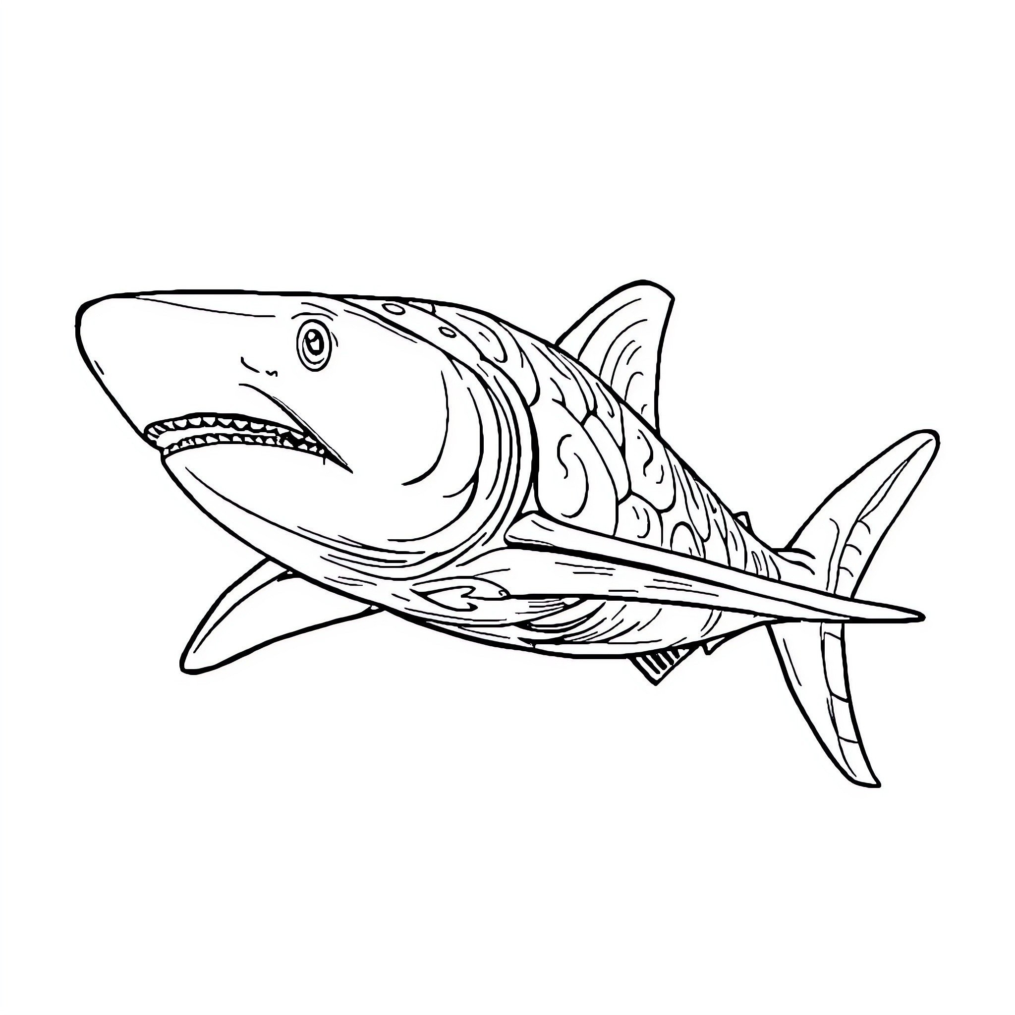 Shark swimming gracefully in the ocean Coloring Page (free black-and-white line drawing printable PDF for all, from beginners to advanced learners, including children, teens, adults, and seniors)