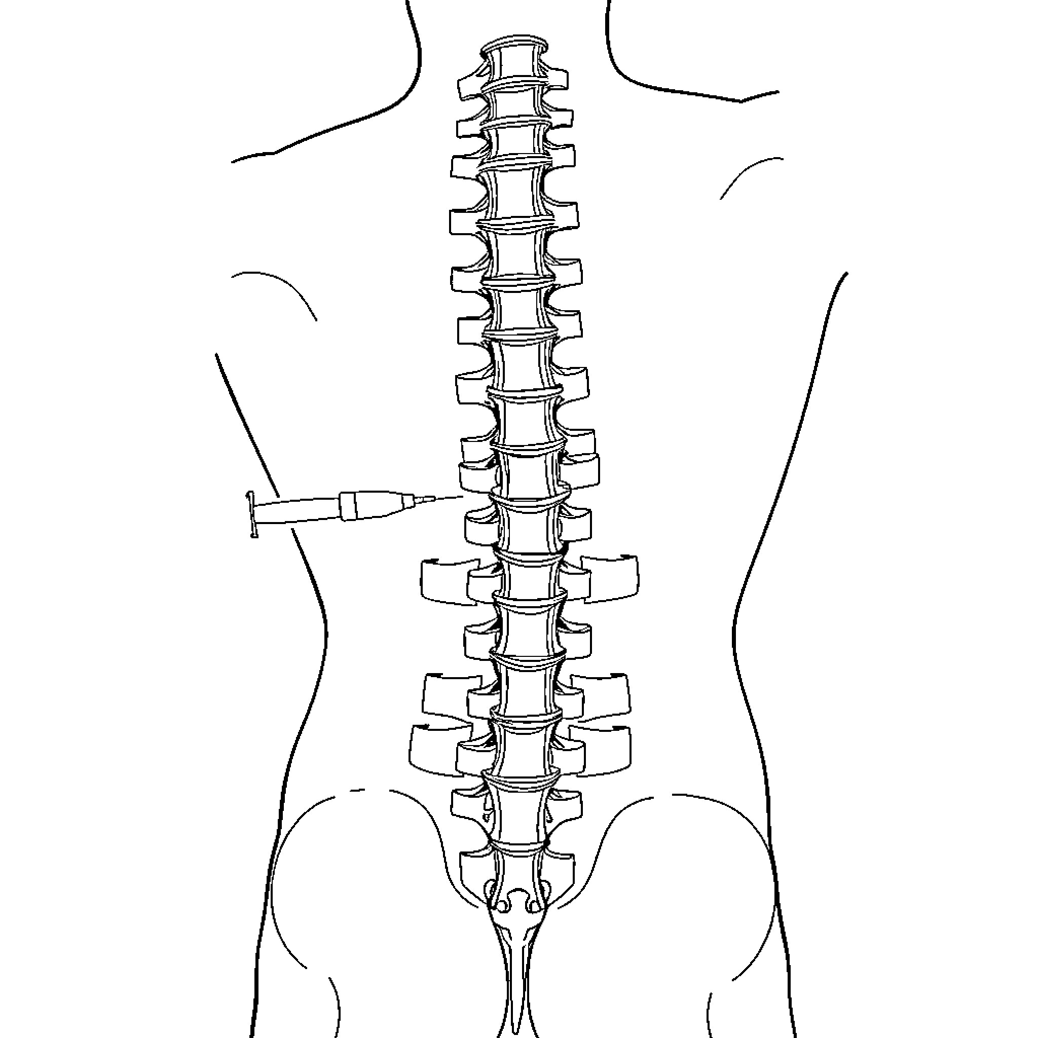 Lumbar spine anatomy diagram Coloring Page (free black-and-white line drawing printable PDF for all, from beginners to advanced learners, including children, teens, adults, and seniors)