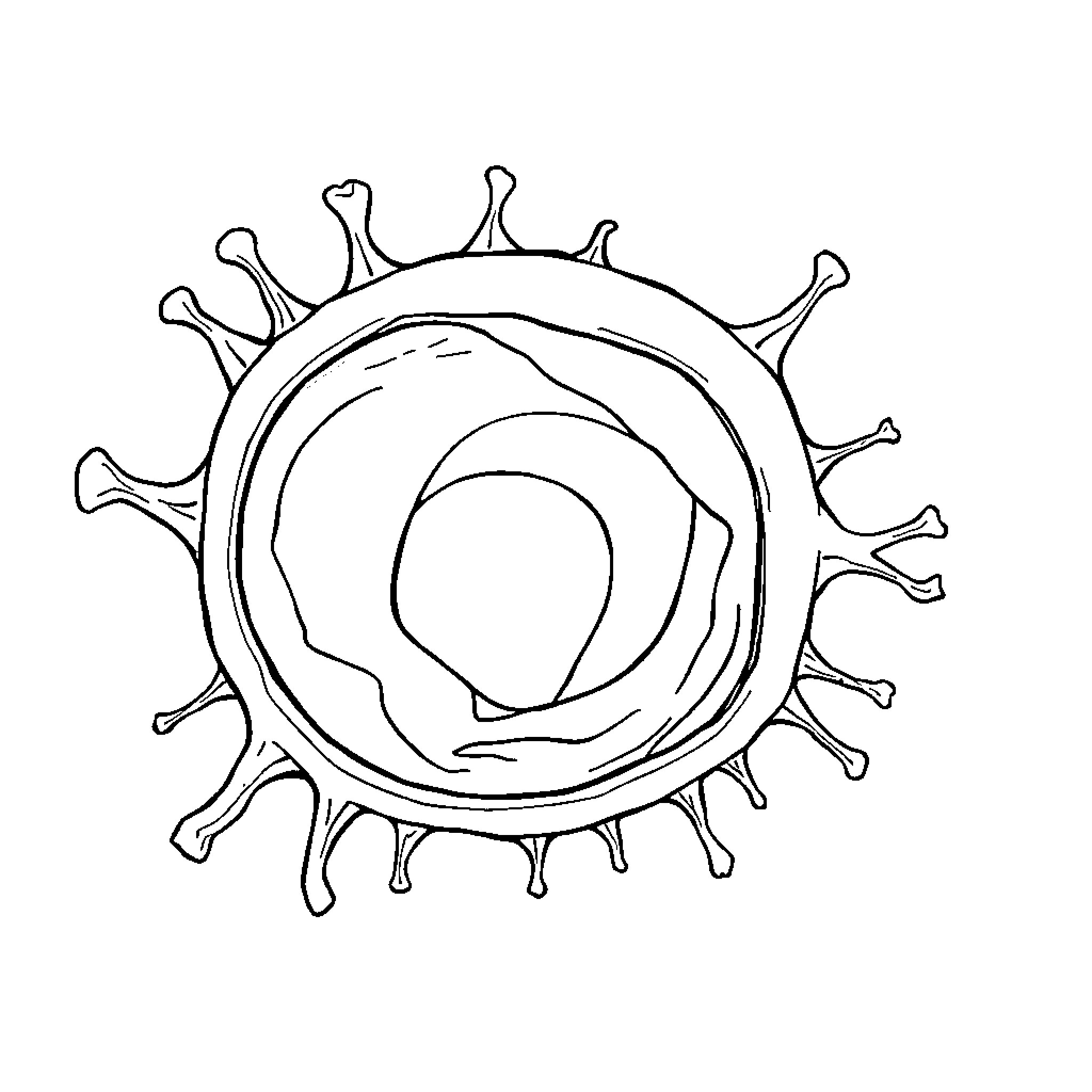 Animal Cell with Intricate Structure Coloring Page (free black-and-white line drawing printable PDF for all, from beginners to advanced learners, including children, teens, adults, and seniors)