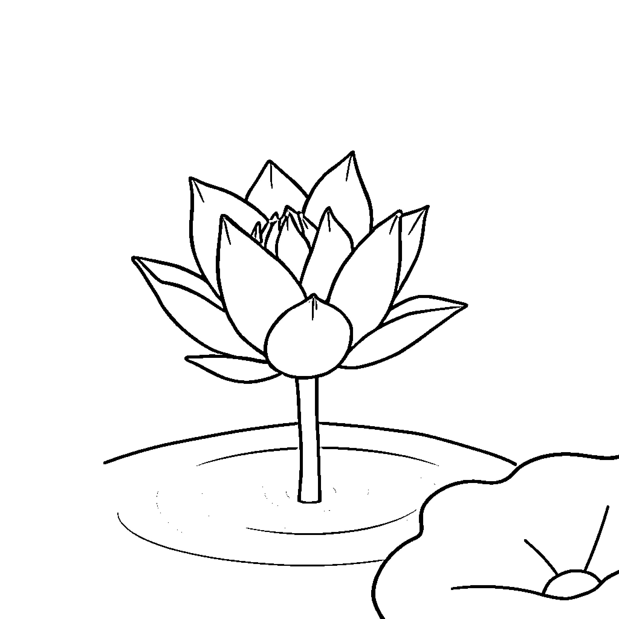 Lotus flower blooming serenely Coloring Page (free black-and-white line drawing printable PDF for all, from beginners to advanced learners, including children, teens, adults, and seniors)