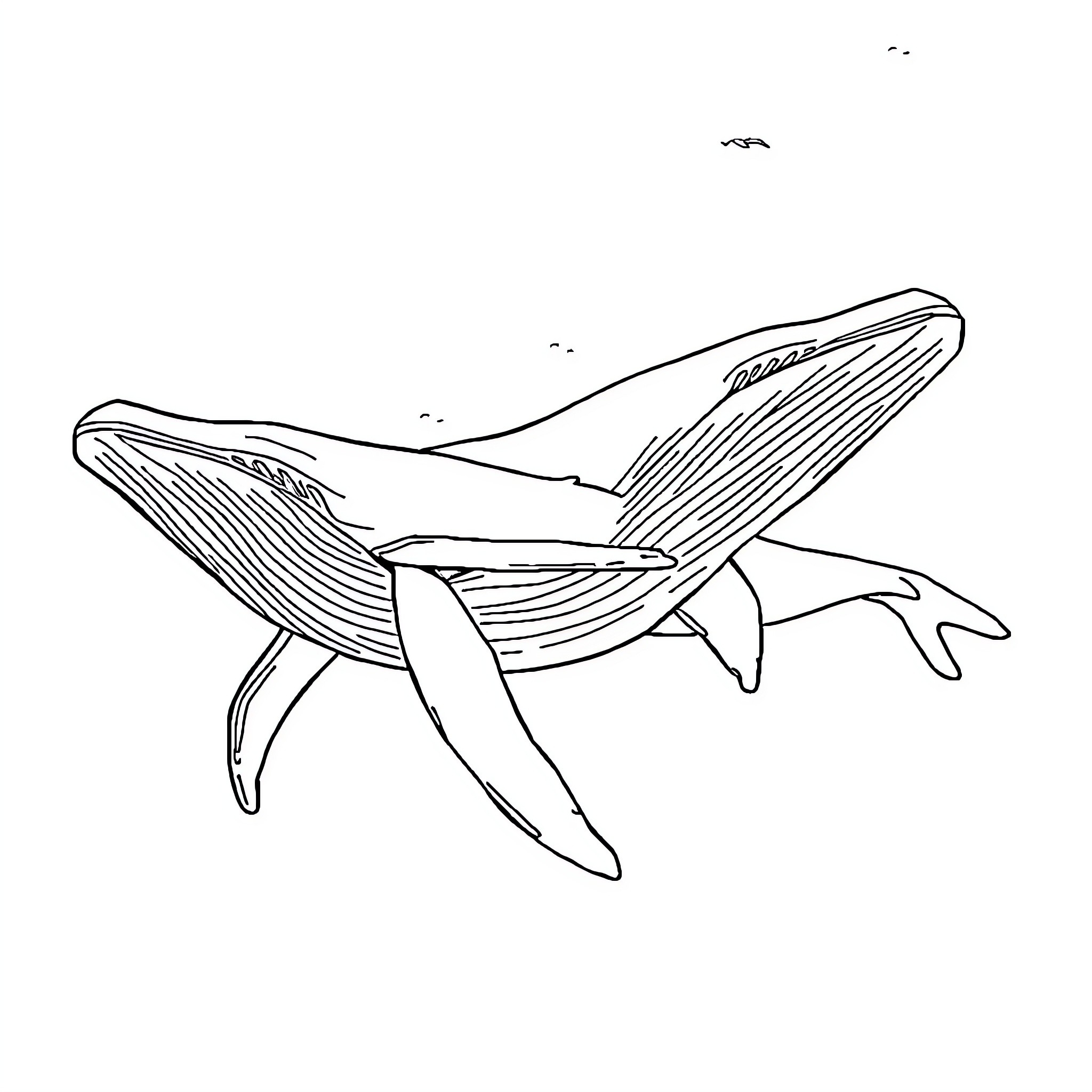 Whales swimming gracefully in the ocean Coloring Page (free black-and-white line drawing printable PDF for all, from beginners to advanced learners, including children, teens, adults, and seniors)