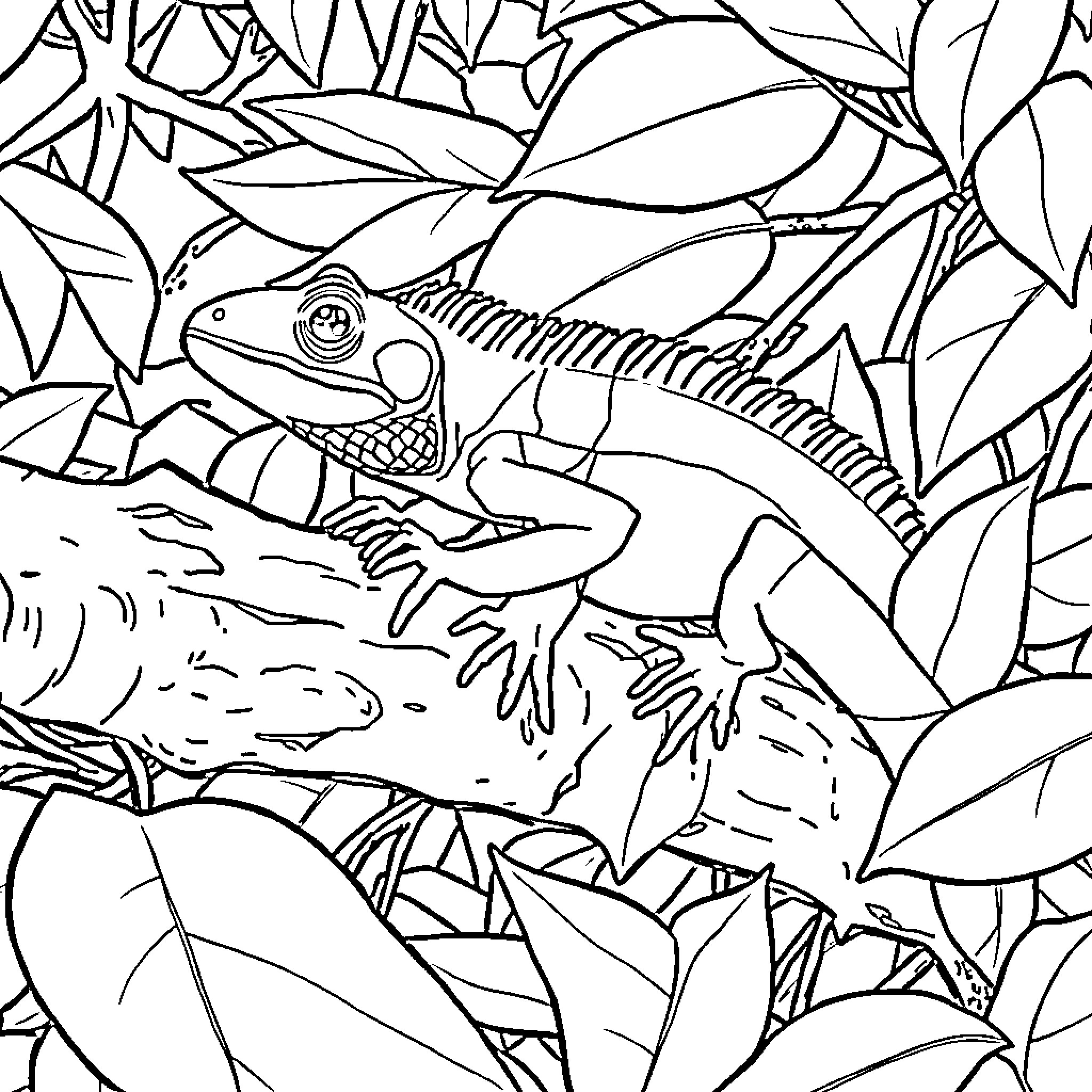 Lizard resting amidst lush vegetation Coloring Page (free black-and-white line drawing printable PDF for all, from beginners to advanced learners, including children, teens, adults, and seniors)