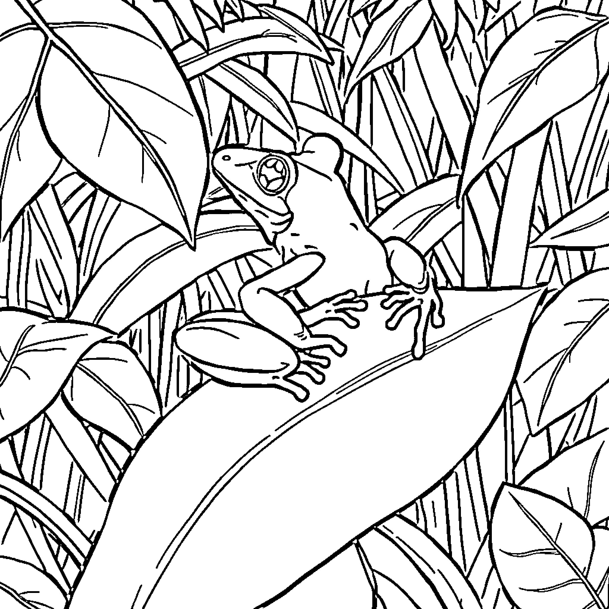 Frog resting among lush vegetation Coloring Page (free black-and-white line drawing printable PDF for all, from beginners to advanced learners, including children, teens, adults, and seniors)