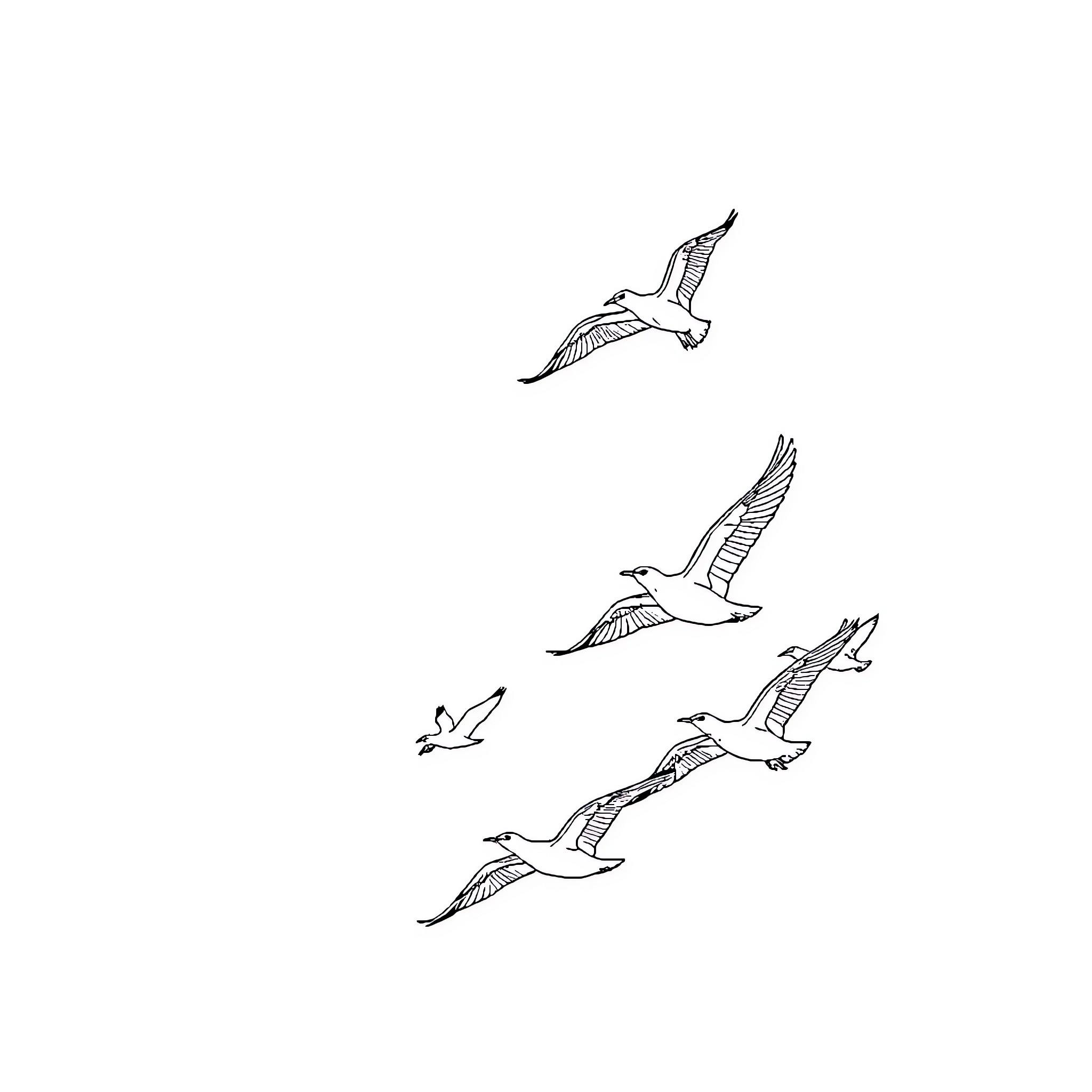Birds soaring gracefully in the sky Coloring Page (free black-and-white line drawing printable PDF for all, from beginners to advanced learners, including children, teens, adults, and seniors)