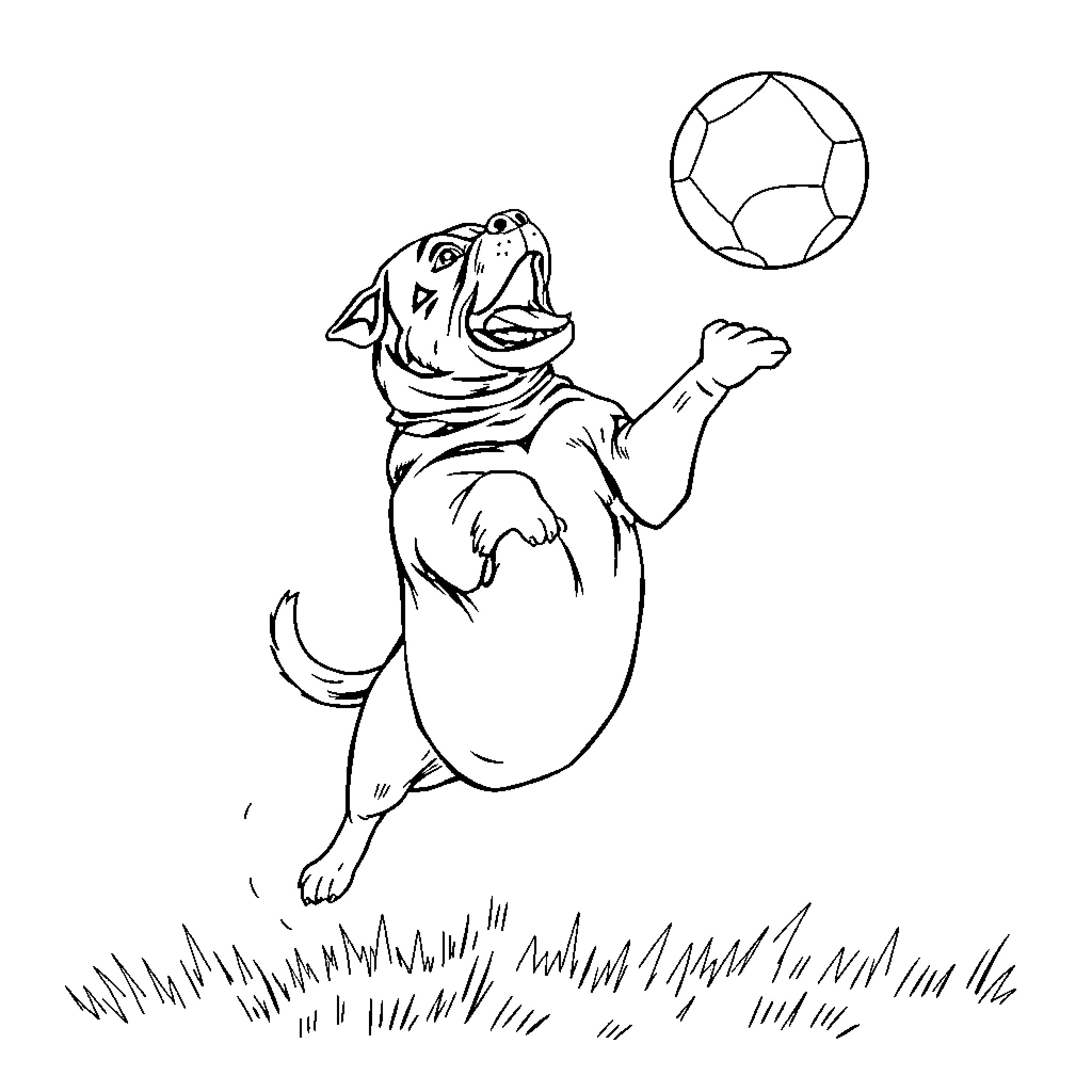 Rottweiler playfully catching soccer ball Coloring Page (free black-and-white line drawing printable PDF for all, from beginners to advanced learners, including children, teens, adults, and seniors)