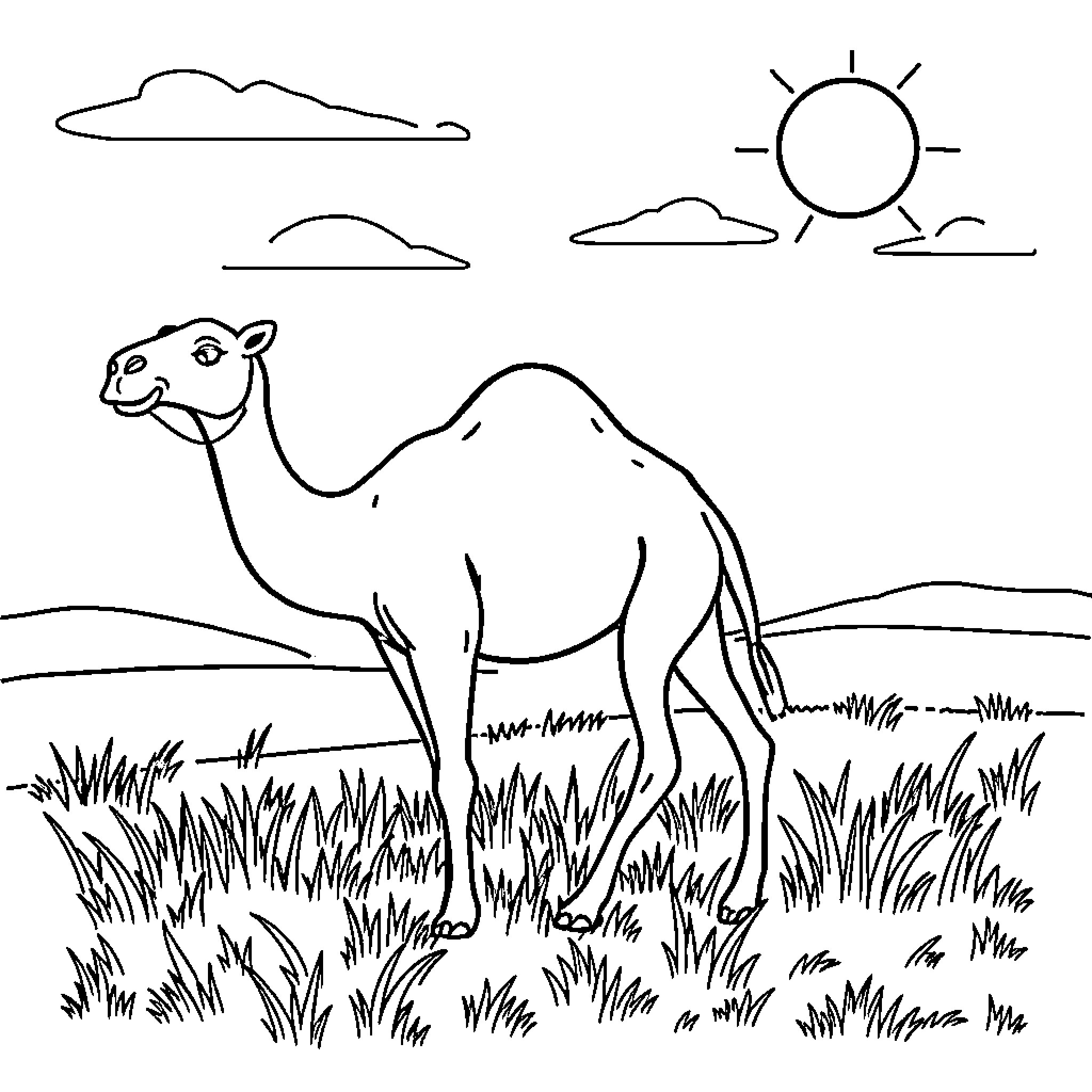 Camel in the desert landscape Coloring Page (free black-and-white line drawing printable PDF for all, from beginners to advanced learners, including children, teens, adults, and seniors)