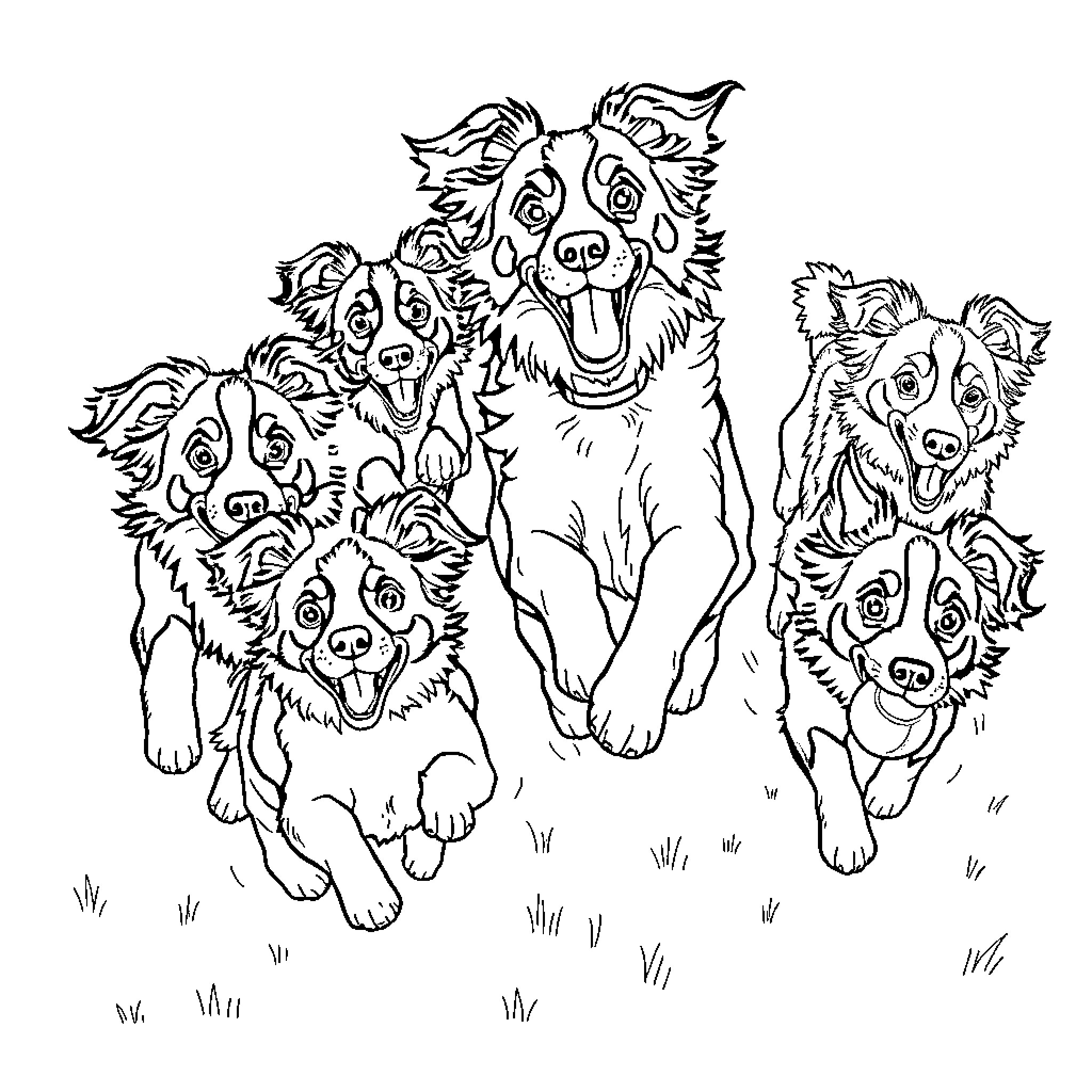 Dog pack playing and running together Coloring Page (free black-and-white line drawing printable PDF for all, from beginners to advanced learners, including children, teens, adults, and seniors)