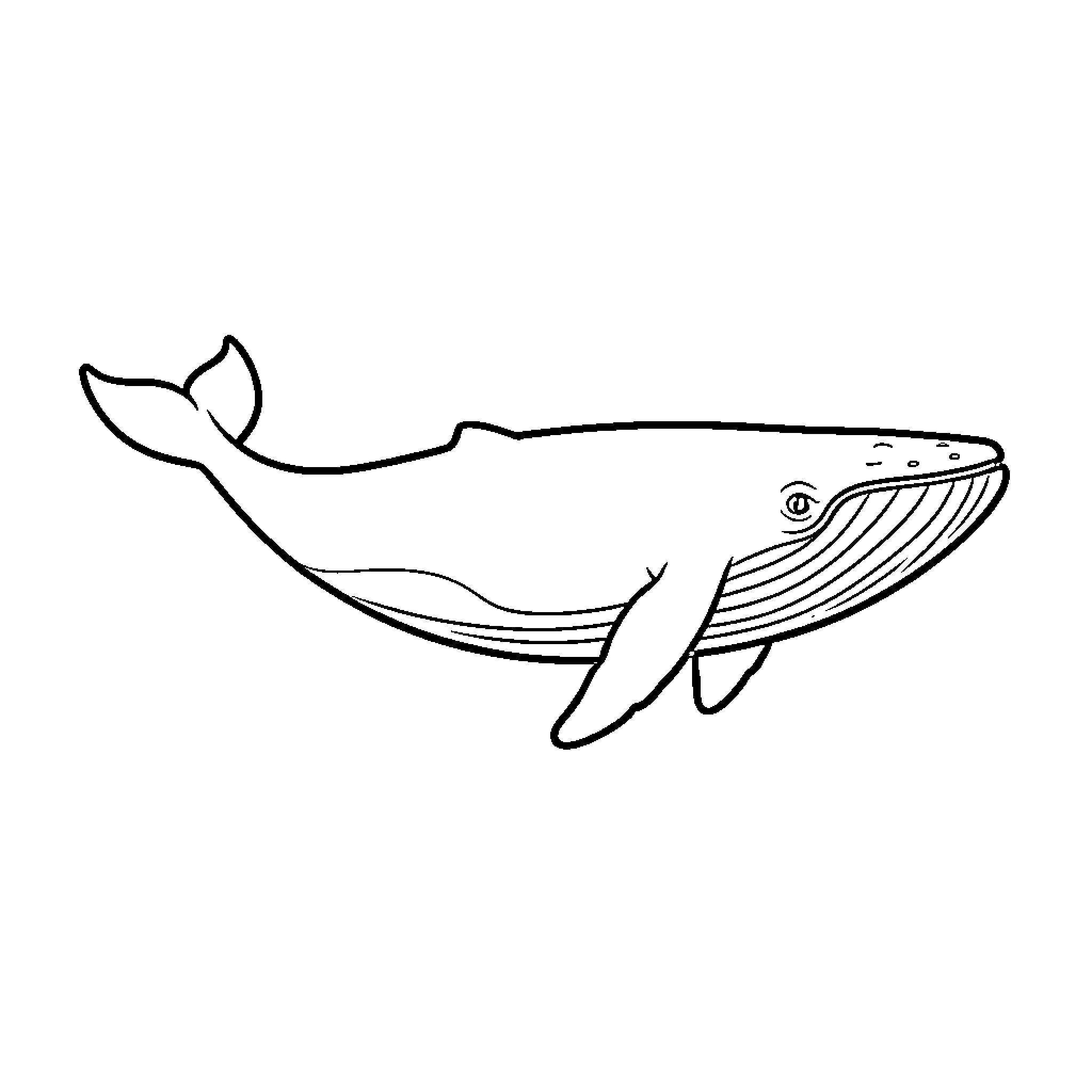 Whale swimming peacefully through the ocean waves Coloring Page (free black-and-white line drawing printable PDF for all, from beginners to advanced learners, including children, teens, adults, and seniors)