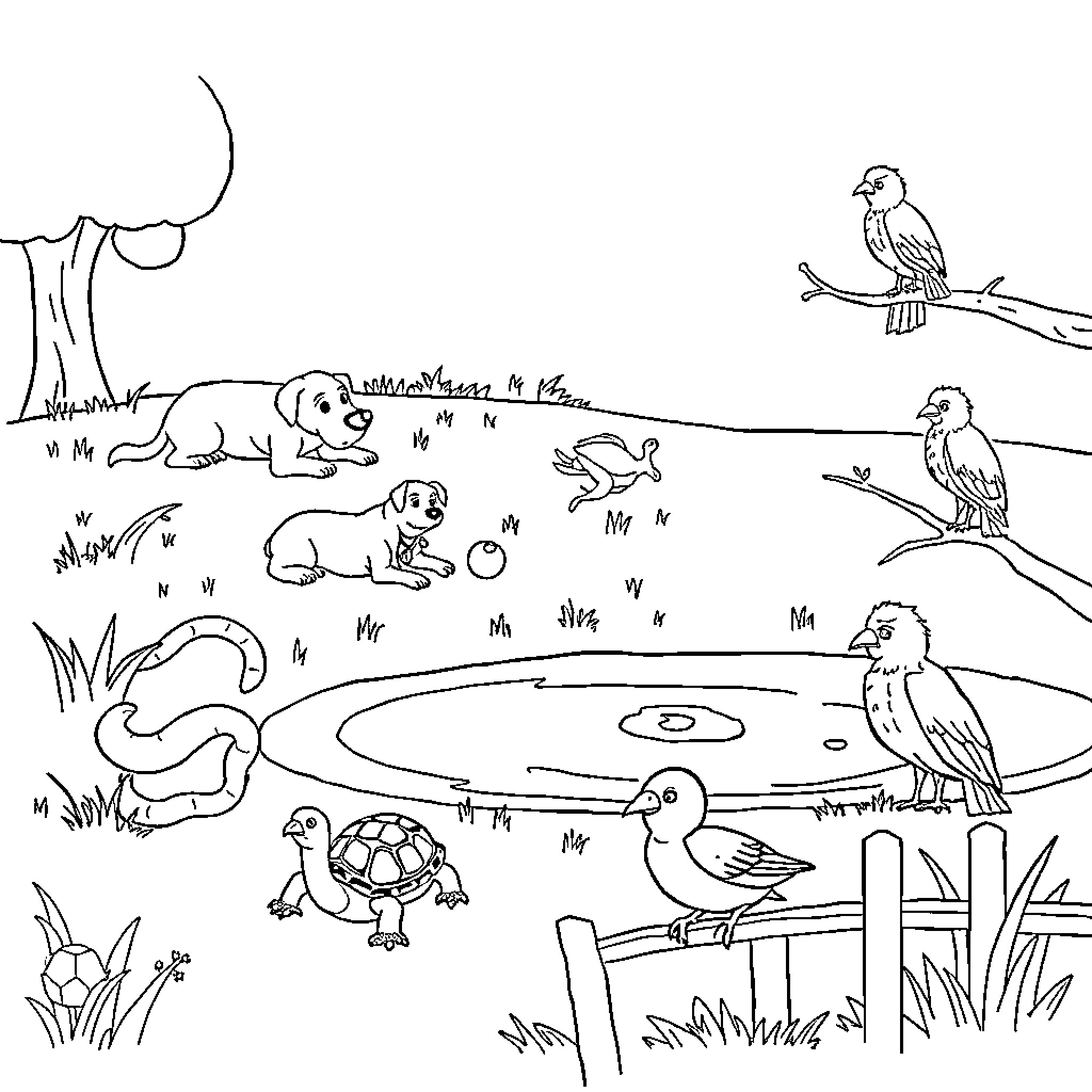 Dogs and birds in a natural outdoor scene Coloring Page (free black-and-white line drawing printable PDF for all, from beginners to advanced learners, including children, teens, adults, and seniors)