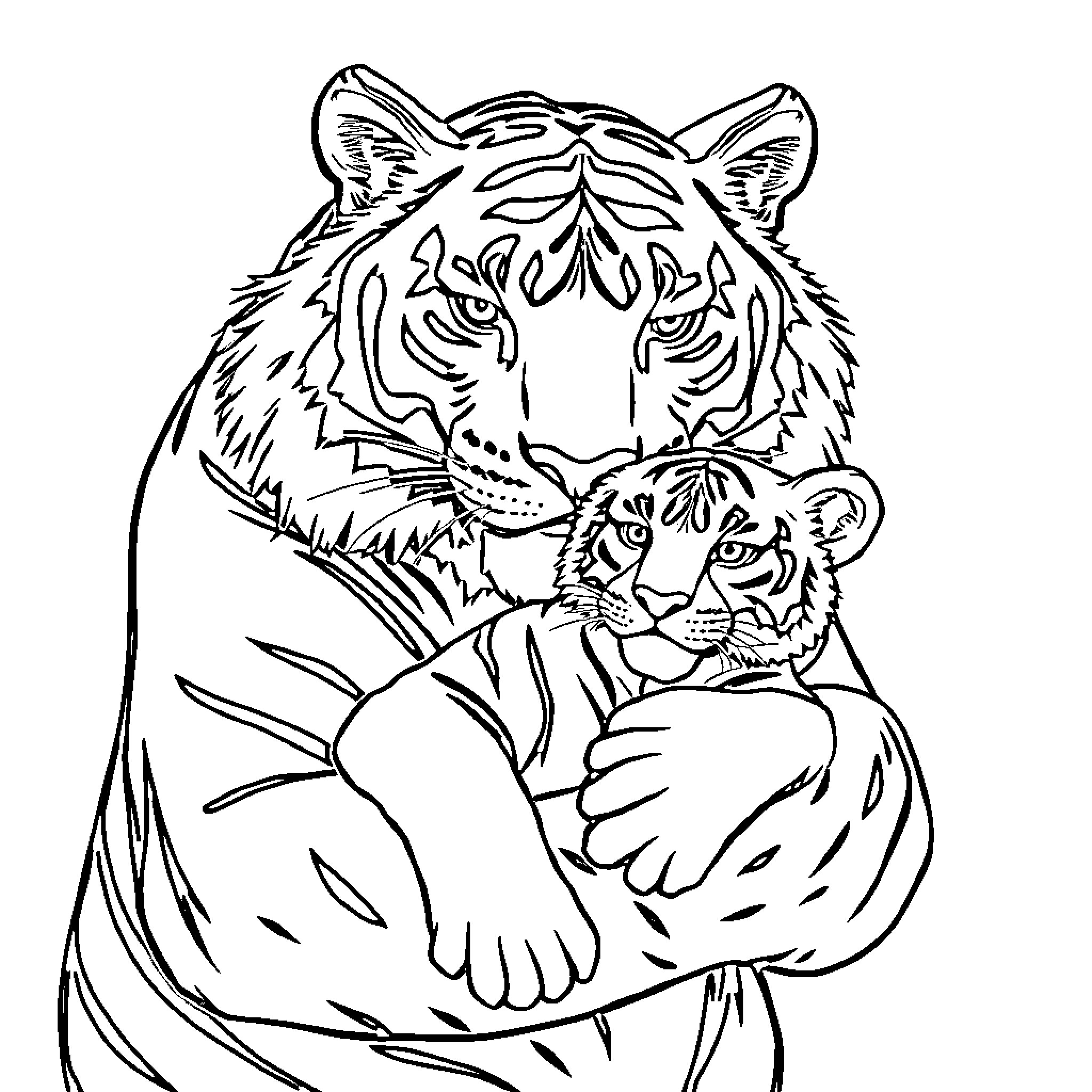 Tiger nurturing its cub in black and white Coloring Page (free black-and-white line drawing printable PDF for all, from beginners to advanced learners, including children, teens, adults, and seniors)