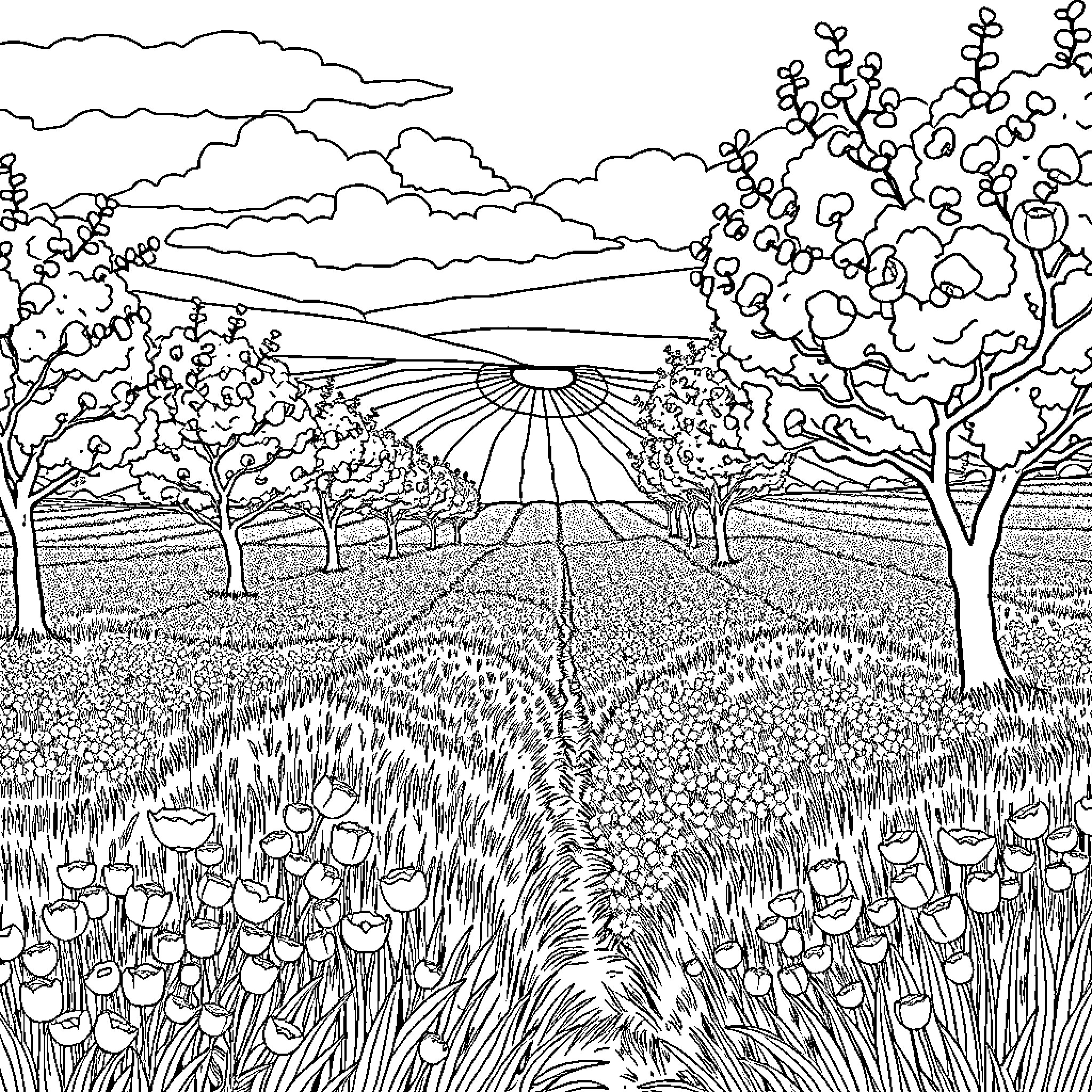 Poppy field at sunset with trees and clouds Coloring Page (free black-and-white line drawing printable PDF for all, from beginners to advanced learners, including children, teens, adults, and seniors)