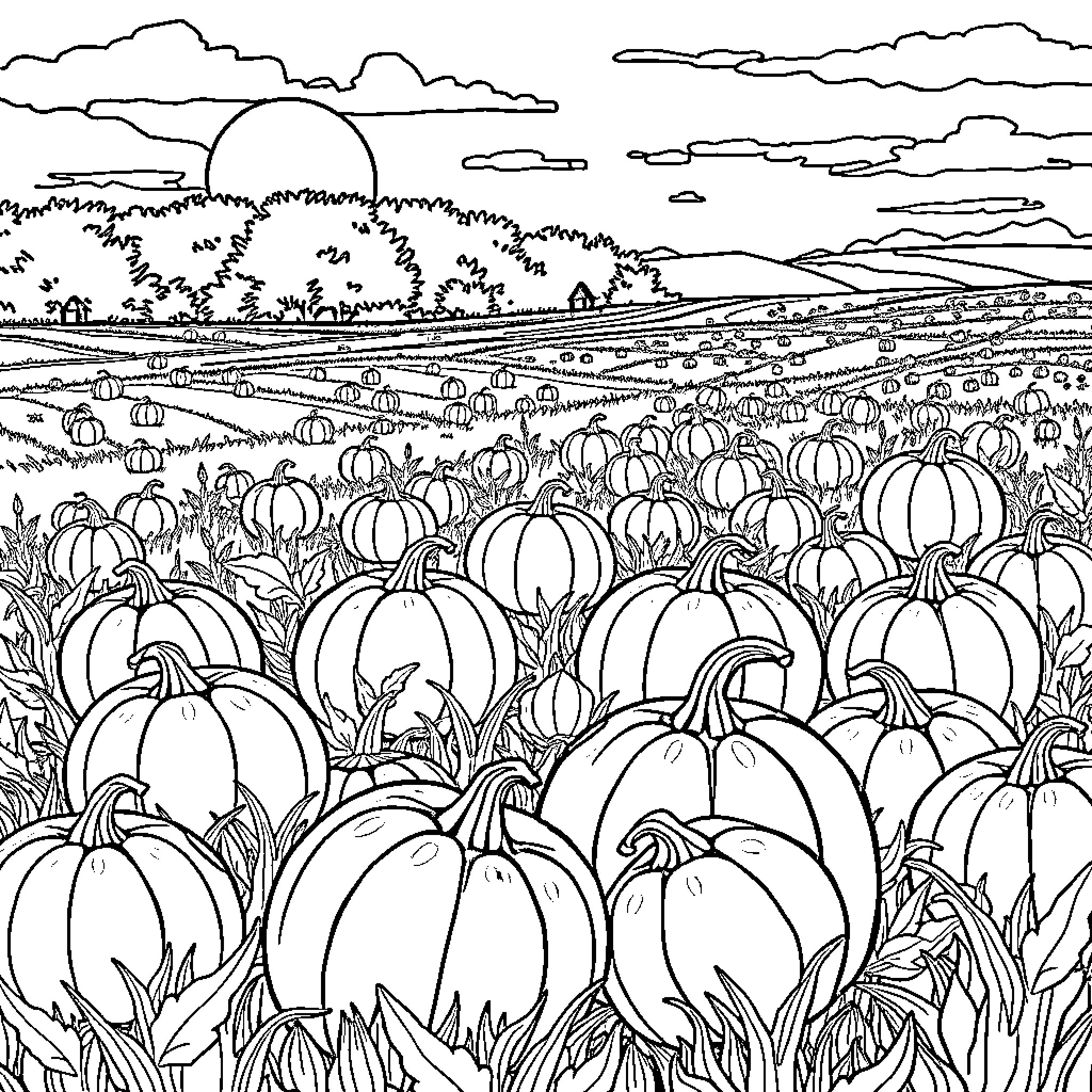 Pumpkin patch in the countryside Coloring Page (free black-and-white line drawing printable PDF for all, from beginners to advanced learners, including children, teens, adults, and seniors)