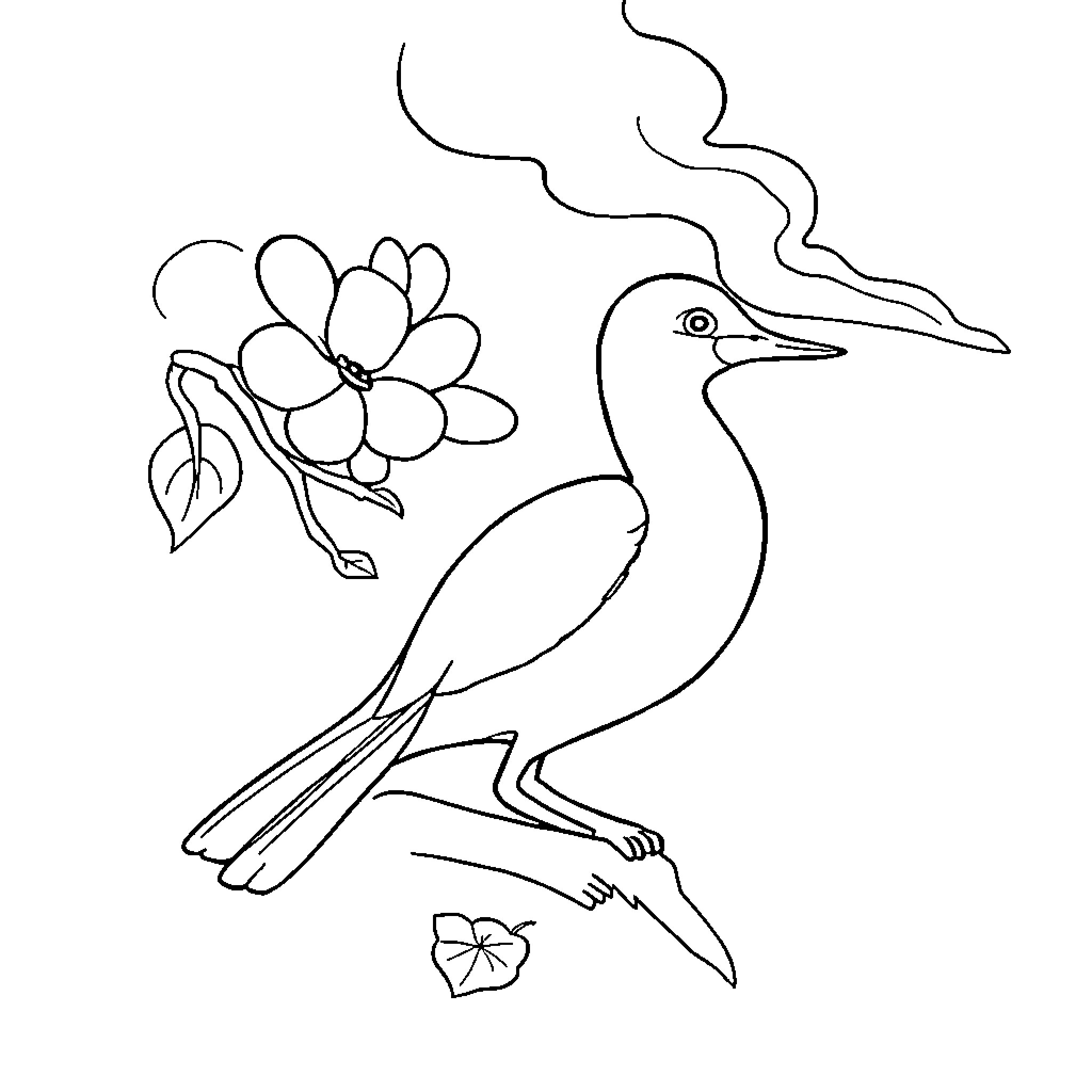 Penguin with a flower in its beak Coloring Page (free black-and-white line drawing printable PDF for all, from beginners to advanced learners, including children, teens, adults, and seniors)