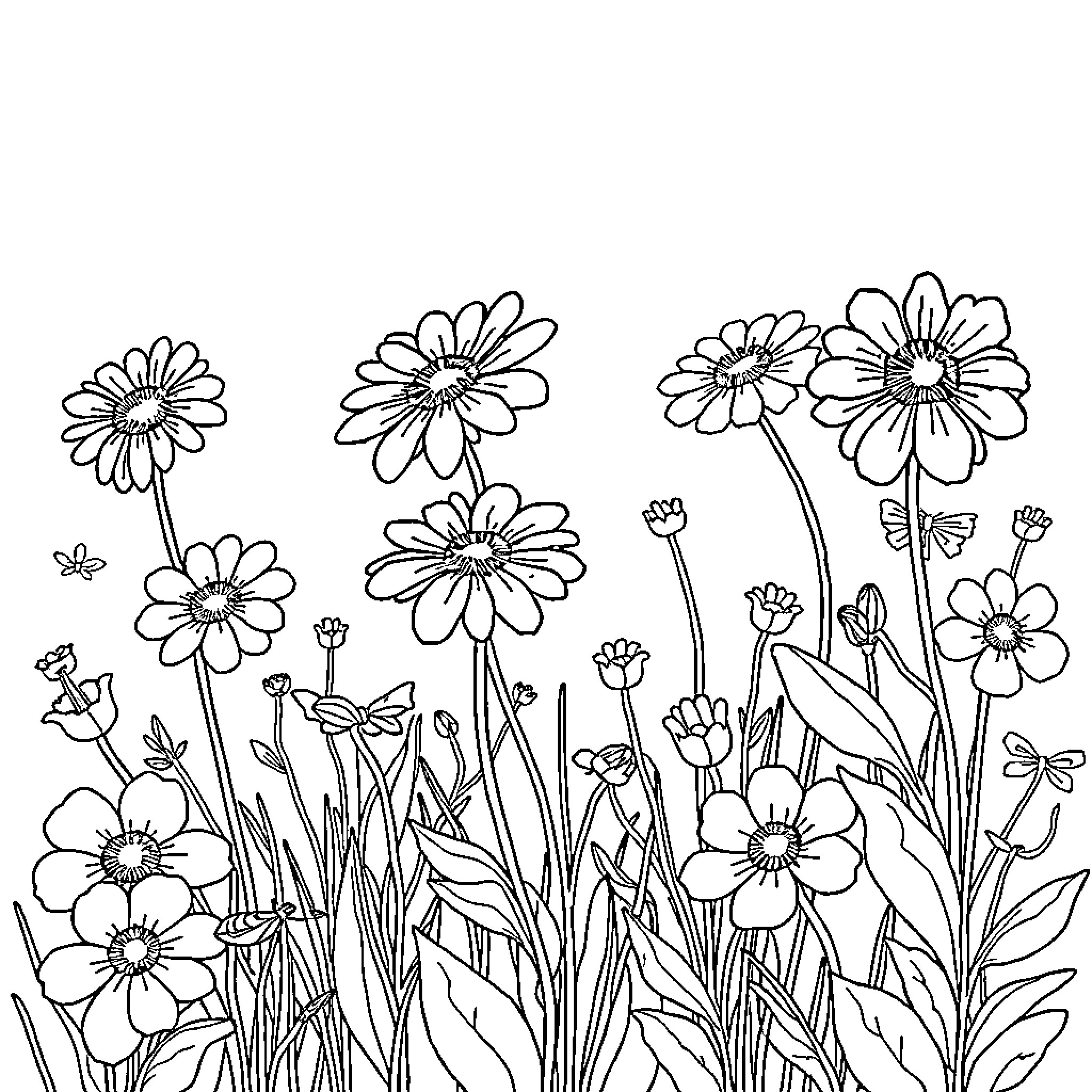 Flower garden with blooming daisies Coloring Page (free black-and-white line drawing printable PDF for all, from beginners to advanced learners, including children, teens, adults, and seniors)