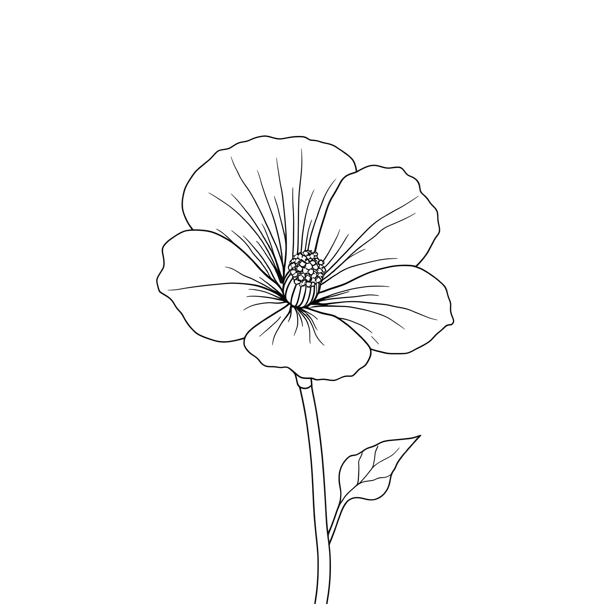 Ipomoea flower in simple outline Coloring Page (free black-and-white line drawing printable PDF for all, from beginners to advanced learners, including children, teens, adults, and seniors)