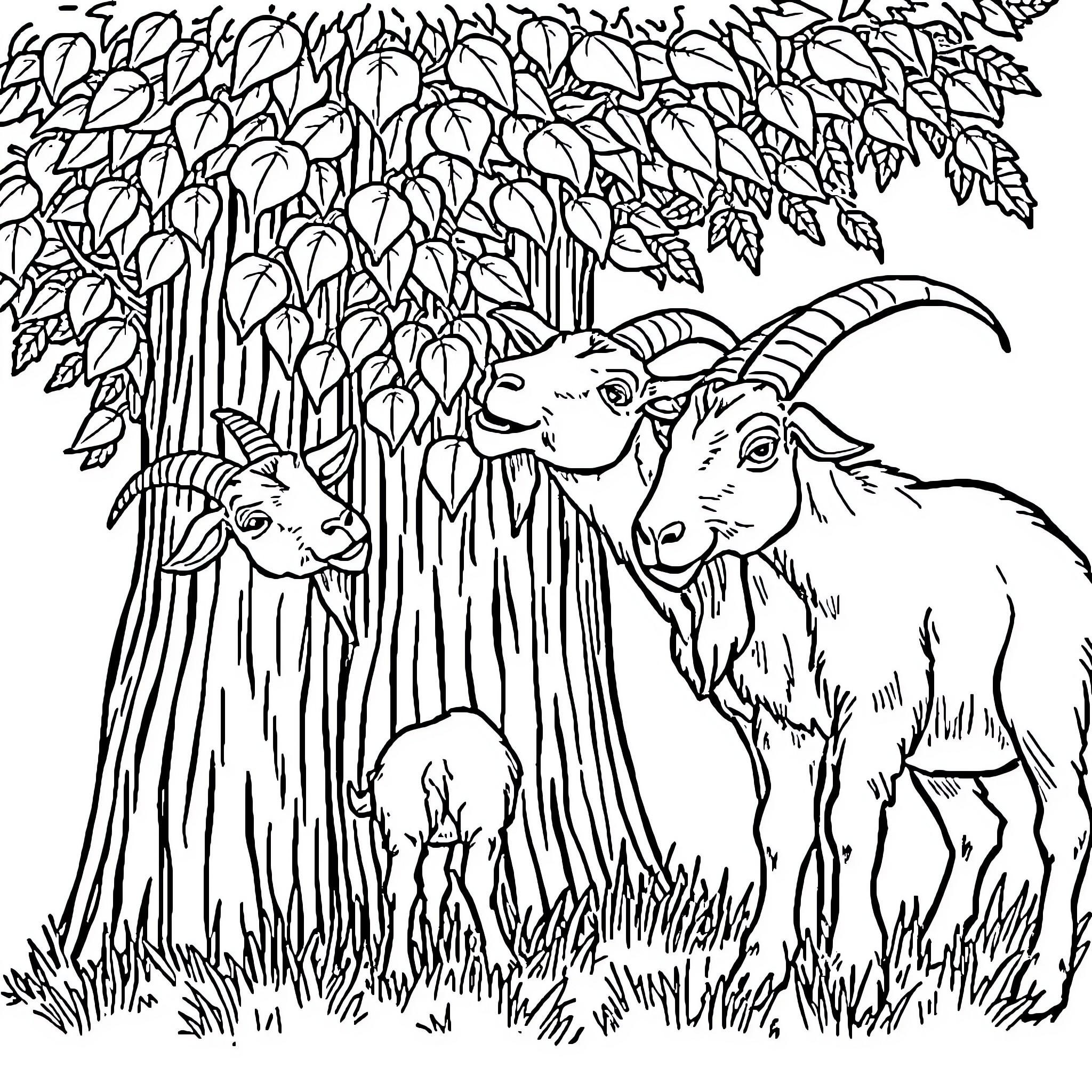 Goats exploring the lush forest Coloring Page (free black-and-white line drawing printable PDF for all, from beginners to advanced learners, including children, teens, adults, and seniors)