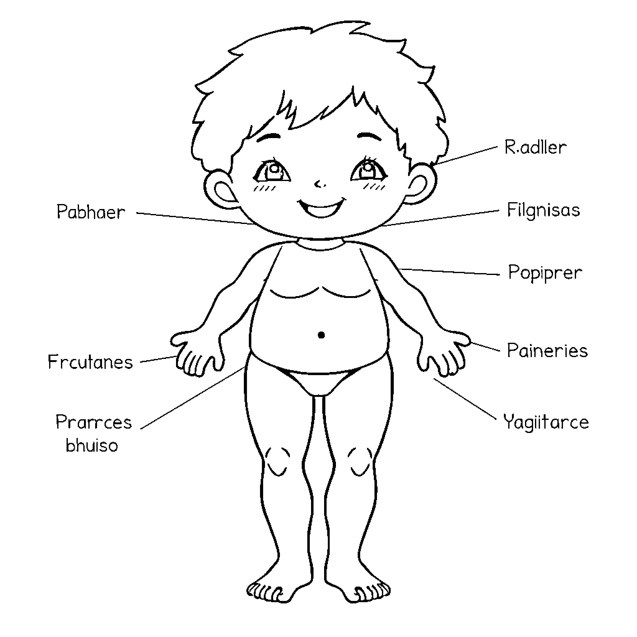 Skeleton figure with labeled body parts Coloring Page (free black-and-white line drawing printable PDF for all, from beginners to advanced learners, including children, teens, adults, and seniors)