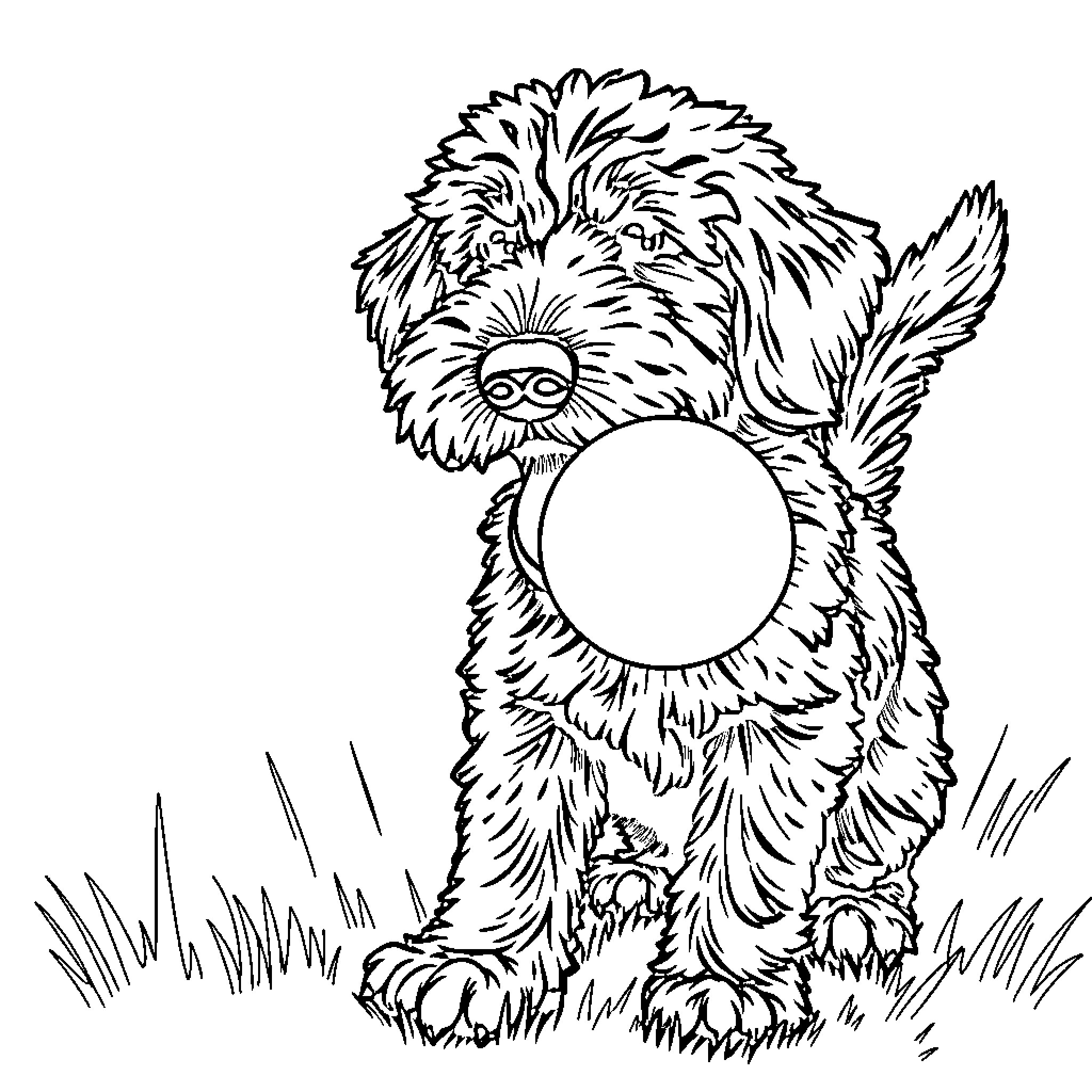 Labradoodle exploring the outdoors happily Coloring Page (free black-and-white line drawing printable PDF for all, from beginners to advanced learners, including children, teens, adults, and seniors)