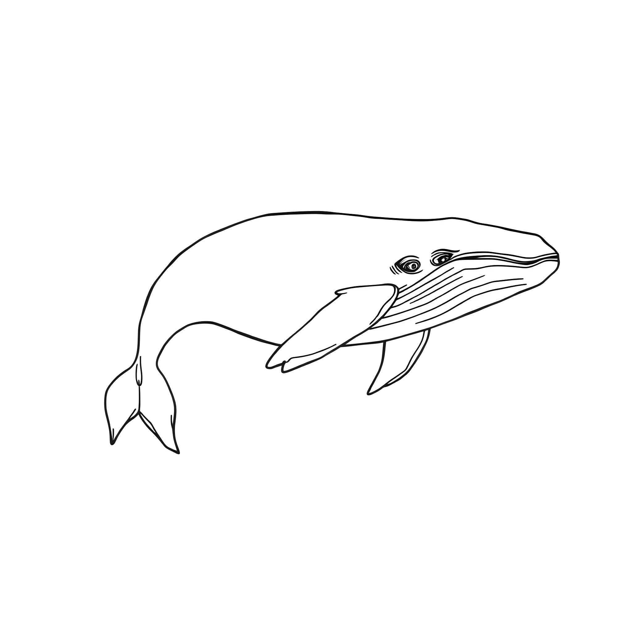 Whale in simple line art illustration Coloring Page (free black-and-white line drawing printable PDF for all, from beginners to advanced learners, including children, teens, adults, and seniors)