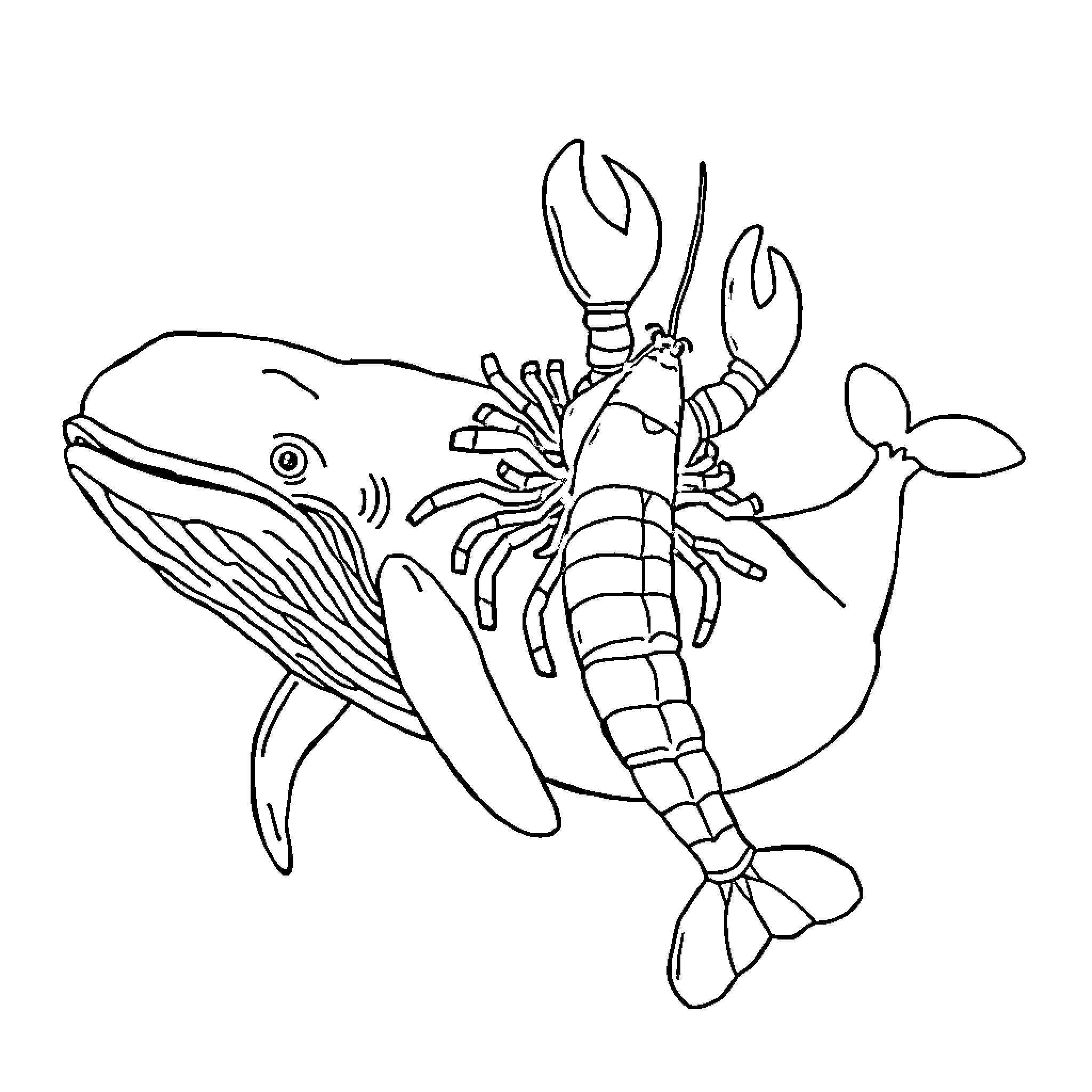 Lobster riding on the back of a whale Coloring Page (free black-and-white line drawing printable PDF for all, from beginners to advanced learners, including children, teens, adults, and seniors)