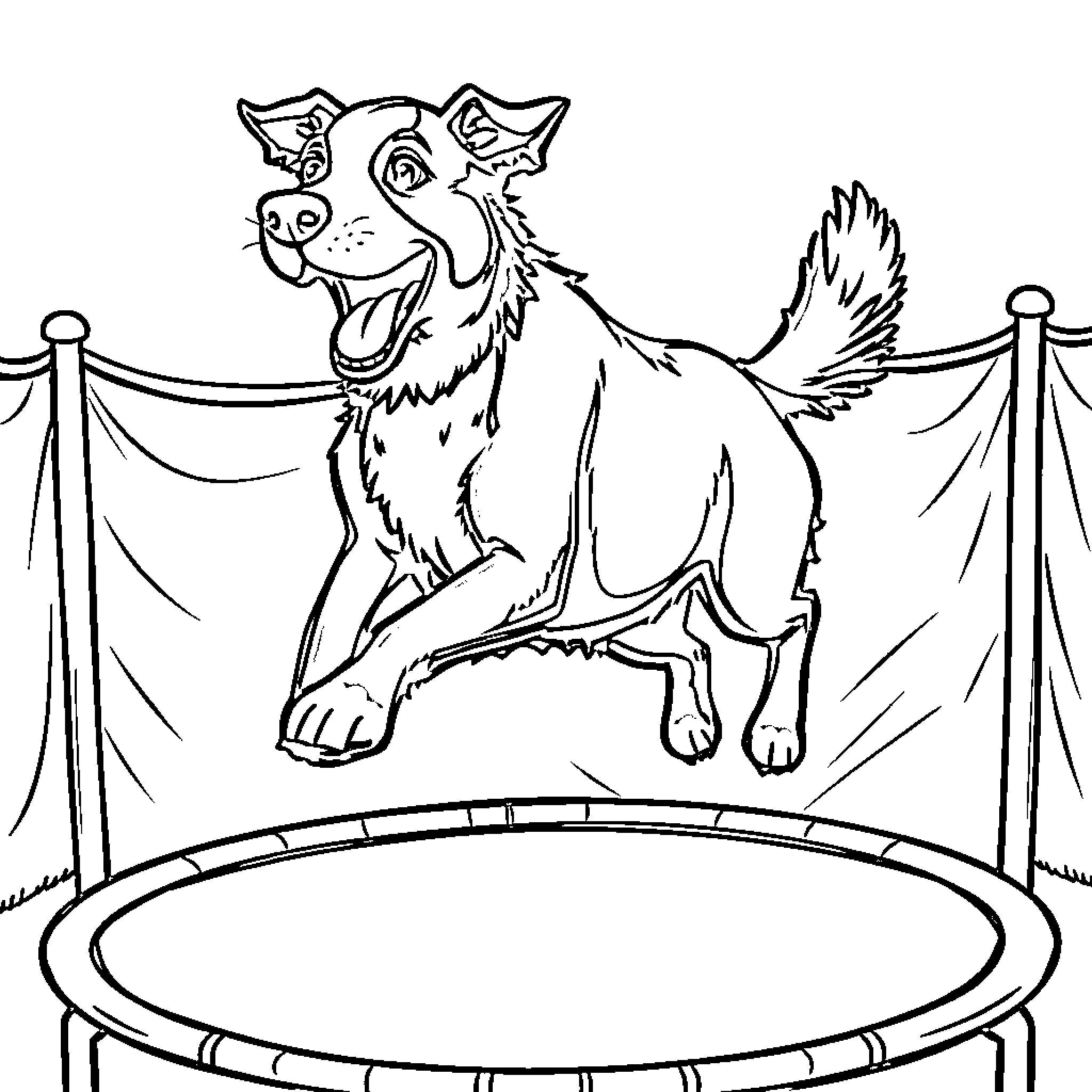 Cattle Dog Jumping on Trampoline at Circus Coloring Page (free black-and-white line drawing printable PDF for all, from beginners to advanced learners, including children, teens, adults, and seniors)