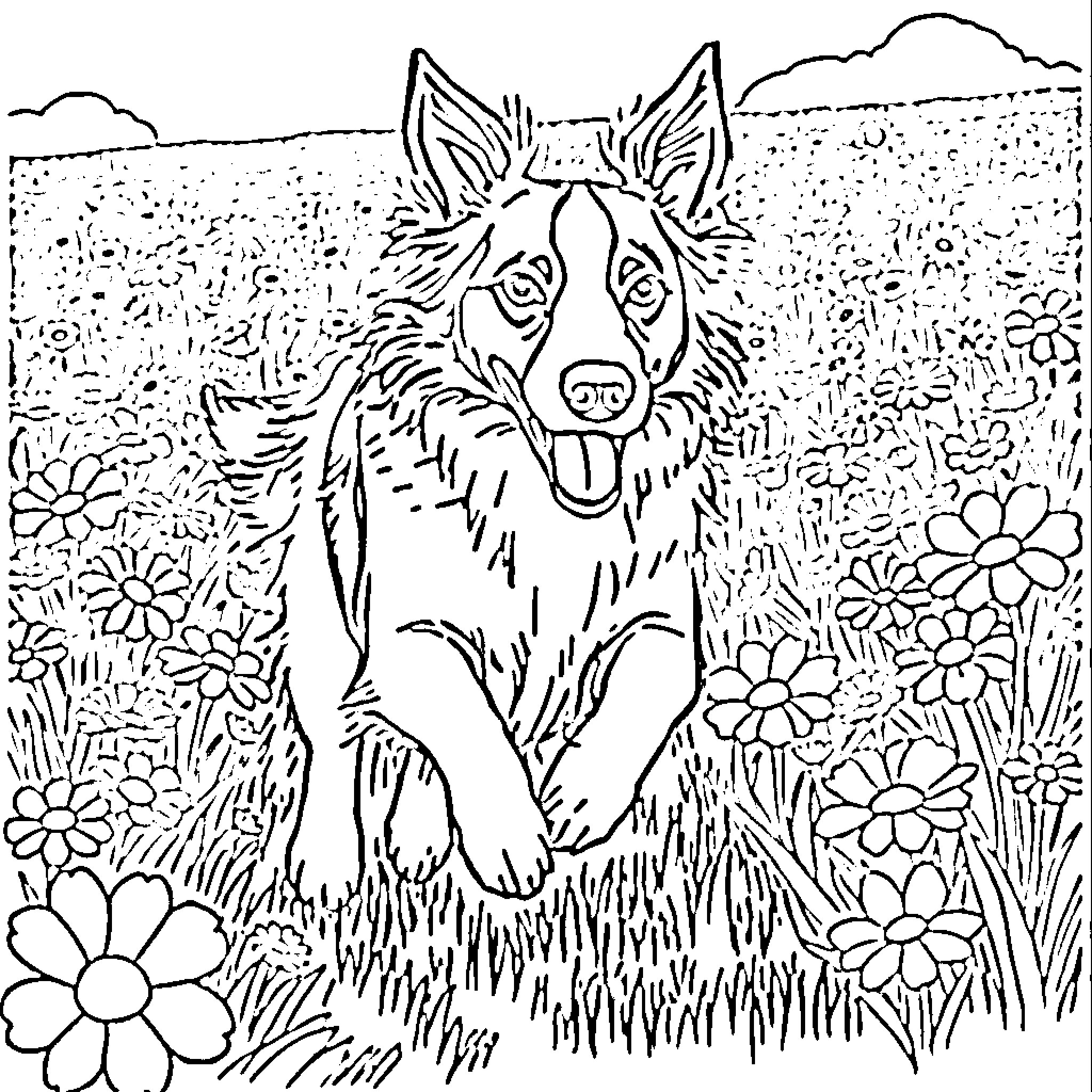Border Collie surrounded by blooming flowers Coloring Page (free black-and-white line drawing printable PDF for all, from beginners to advanced learners, including children, teens, adults, and seniors)