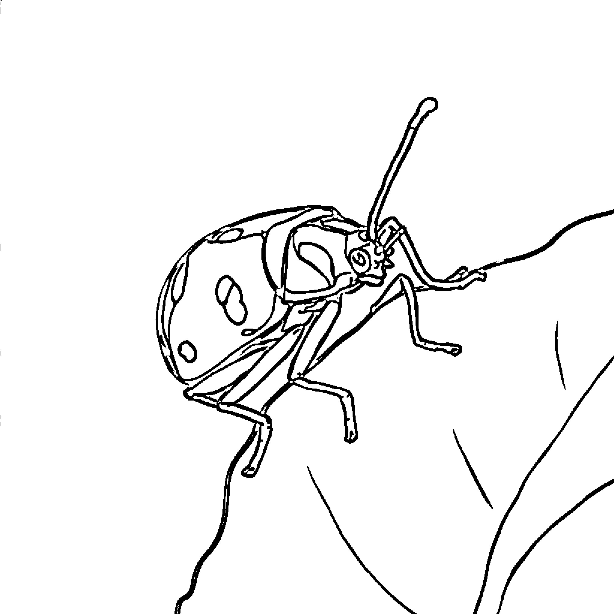 Stink Bug climbing on a surface Coloring Page (free black-and-white line drawing printable PDF for all, from beginners to advanced learners, including children, teens, adults, and seniors)