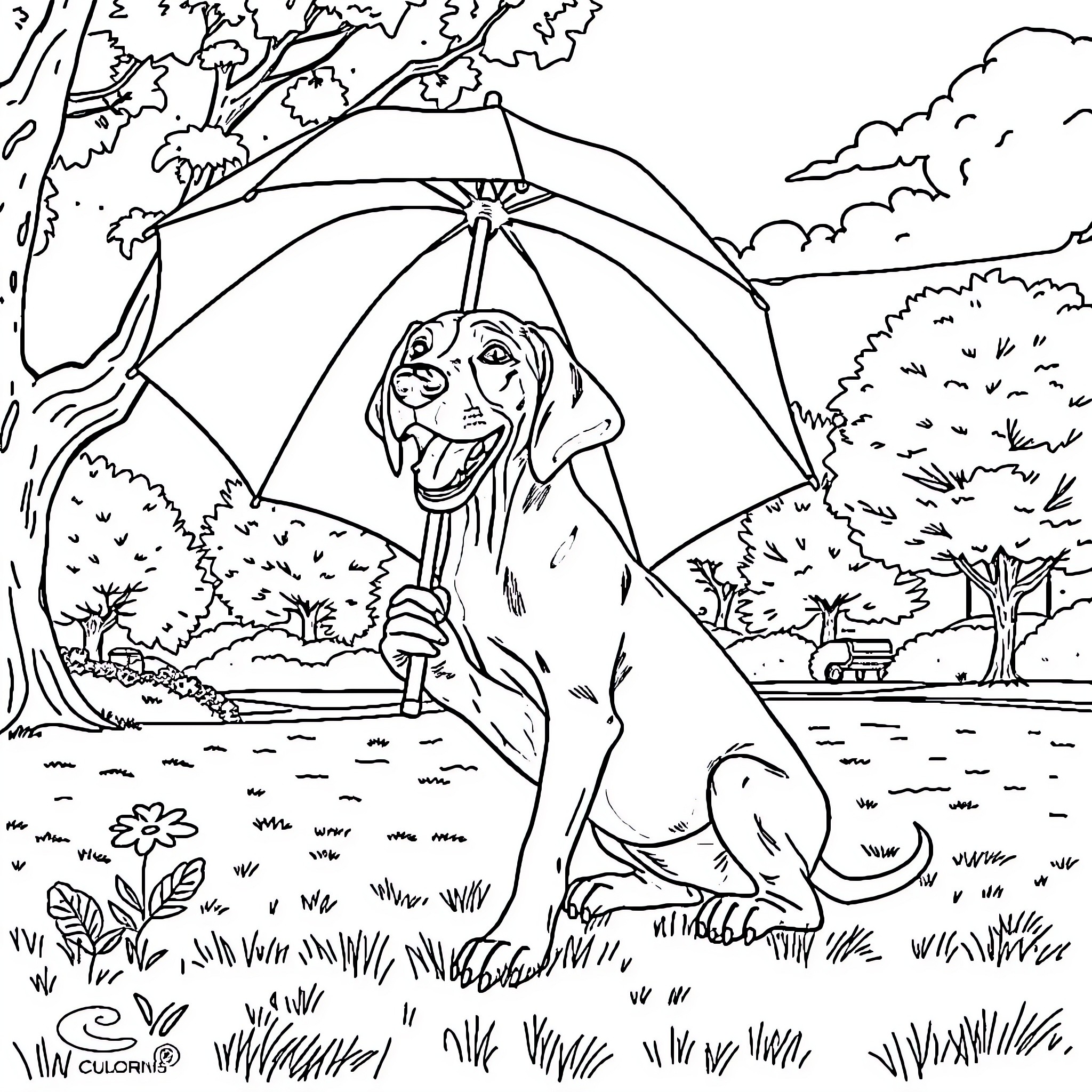 Weimaraner dog enjoying a sunny day outdoors with umbrella Coloring Page (free black-and-white line drawing printable PDF for all, from beginners to advanced learners, including children, teens, adults, and seniors)