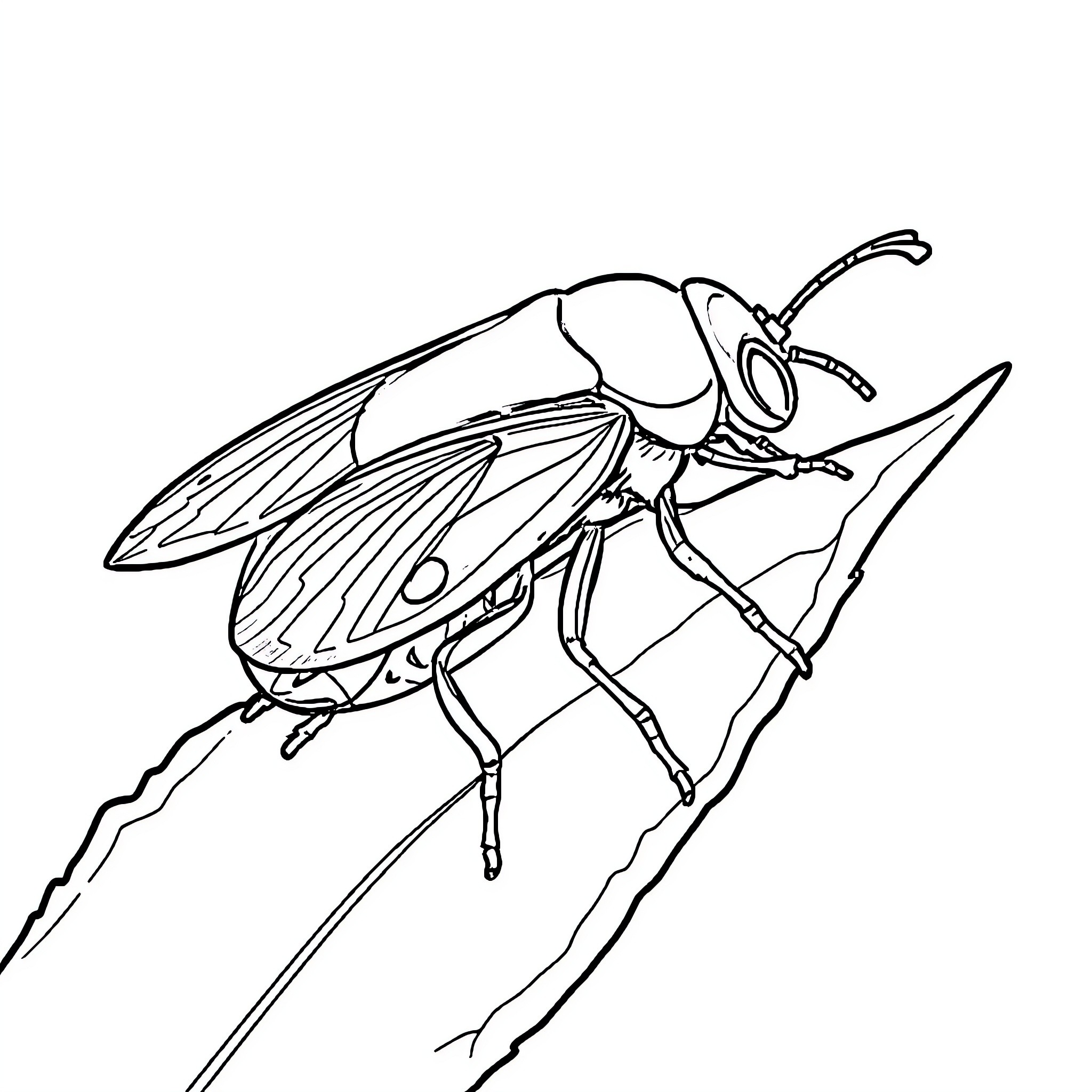 Ladybug crawling on a surface Coloring Page (free black-and-white line drawing printable PDF for all, from beginners to advanced learners, including children, teens, adults, and seniors)