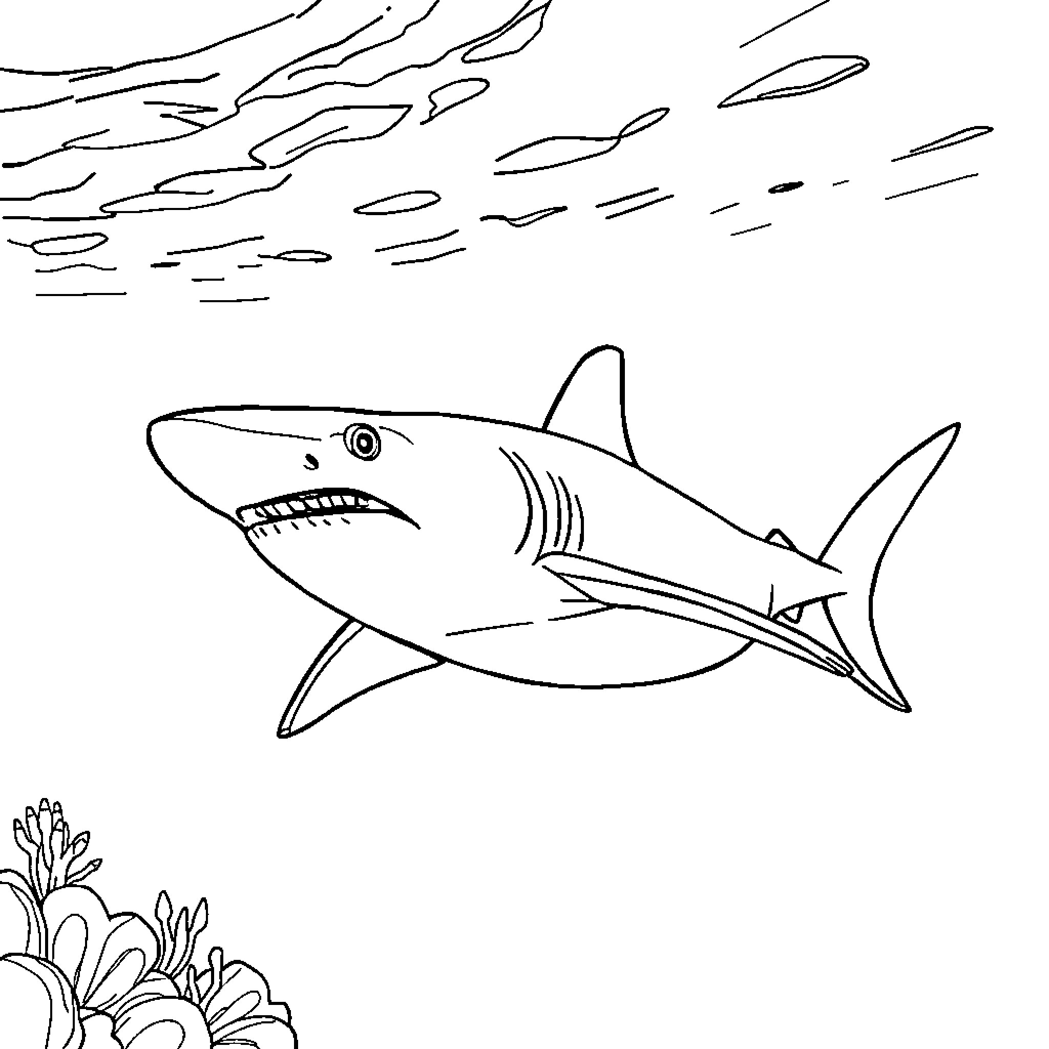 Shark swimming in the ocean Coloring Page (free black-and-white line drawing printable PDF for all, from beginners to advanced learners, including children, teens, adults, and seniors)