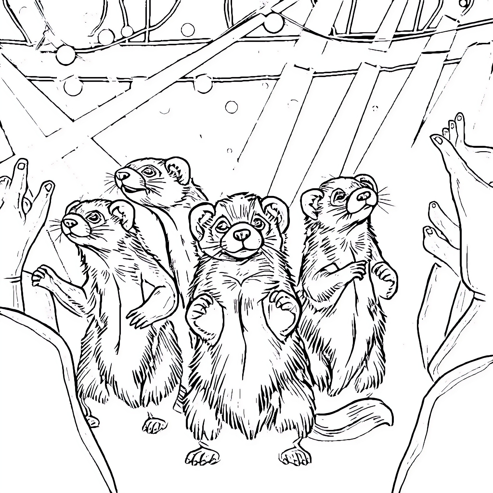 Ferret Trio Exploring the Outdoors Coloring Page (free black-and-white line drawing printable PDF for all, from beginners to advanced learners, including children, teens, adults, and seniors)