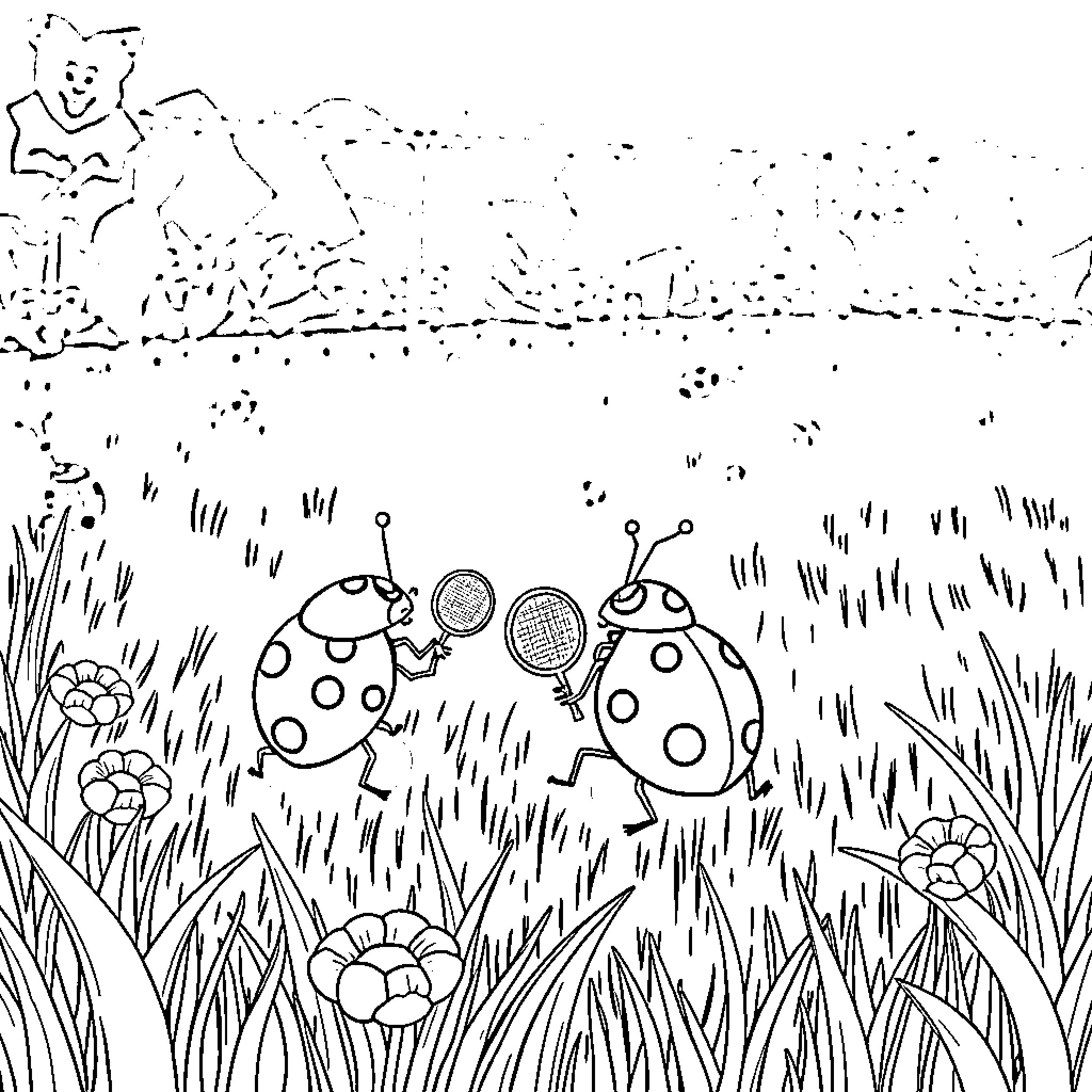 Ladybugs playing together in the meadow Coloring Page (free black-and-white line drawing printable PDF for all, from beginners to advanced learners, including children, teens, adults, and seniors)