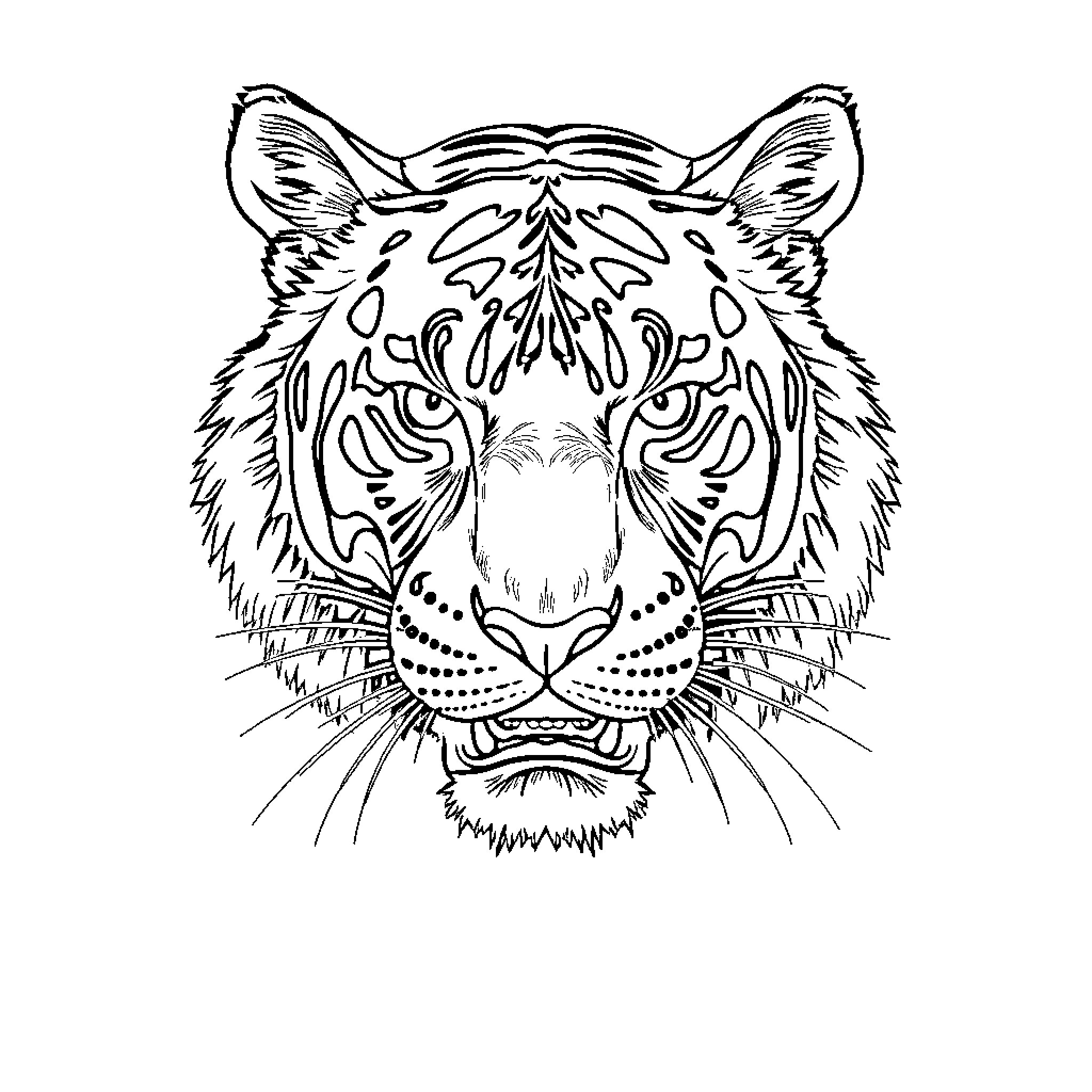 Tiger staring intensely with intricate patterns Coloring Page (free black-and-white line drawing printable PDF for all, from beginners to advanced learners, including children, teens, adults, and seniors)